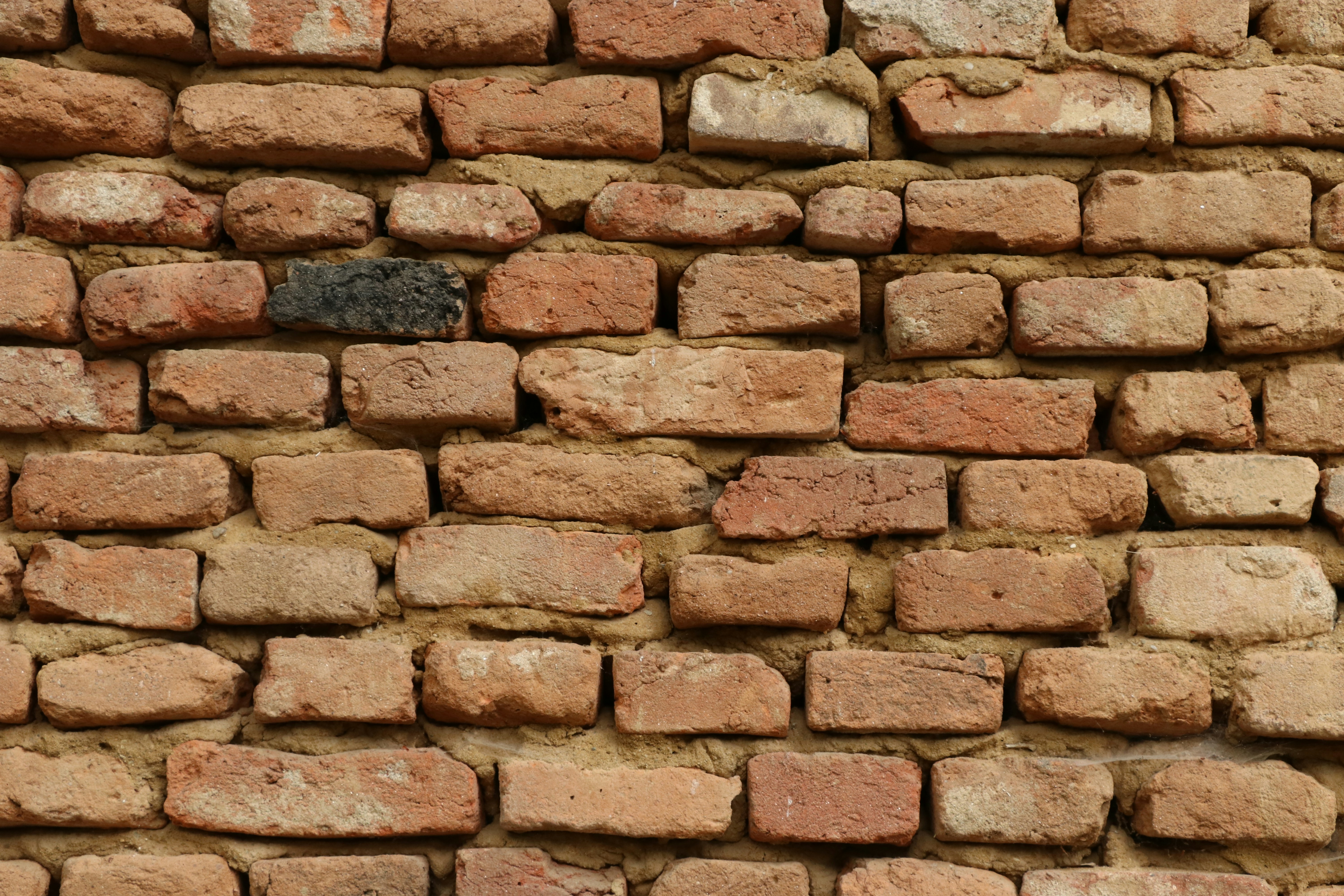 Photo by photosbygina_yeg