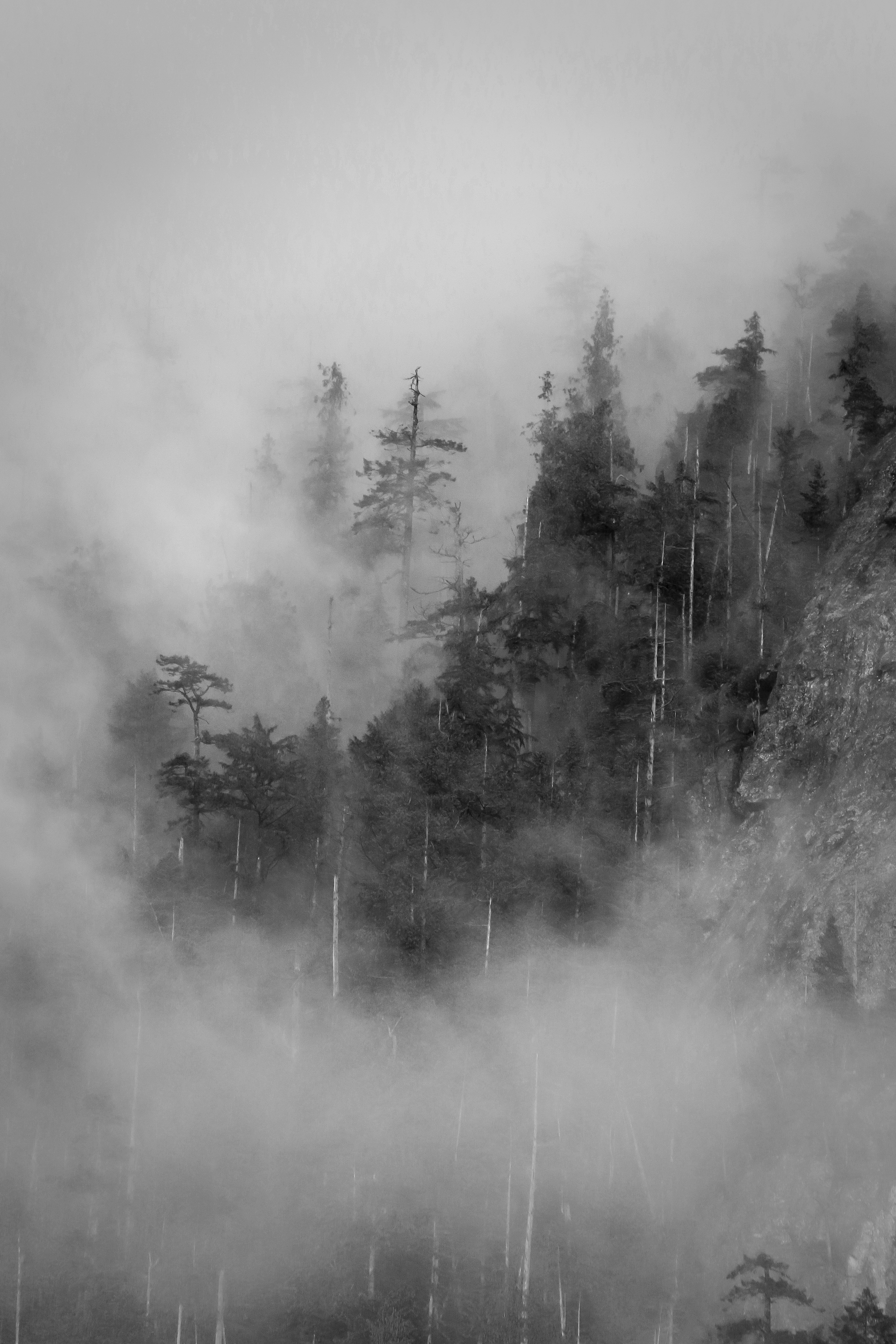 Photo by photosbygina_yeg