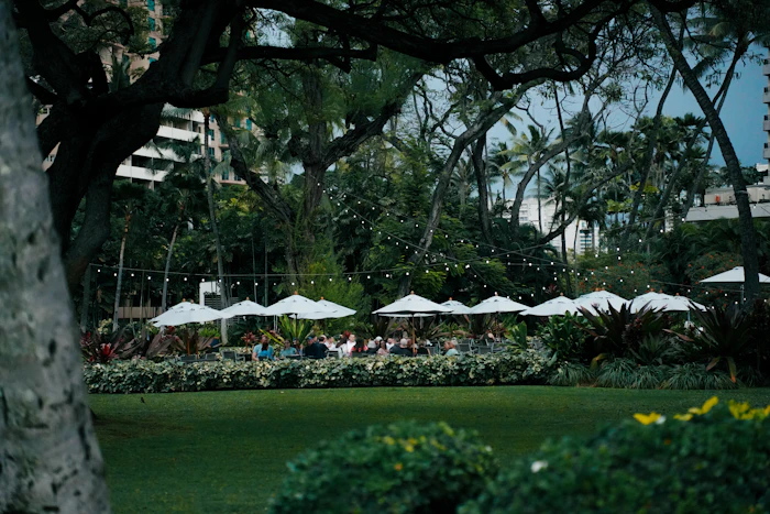 Hidden Cafes