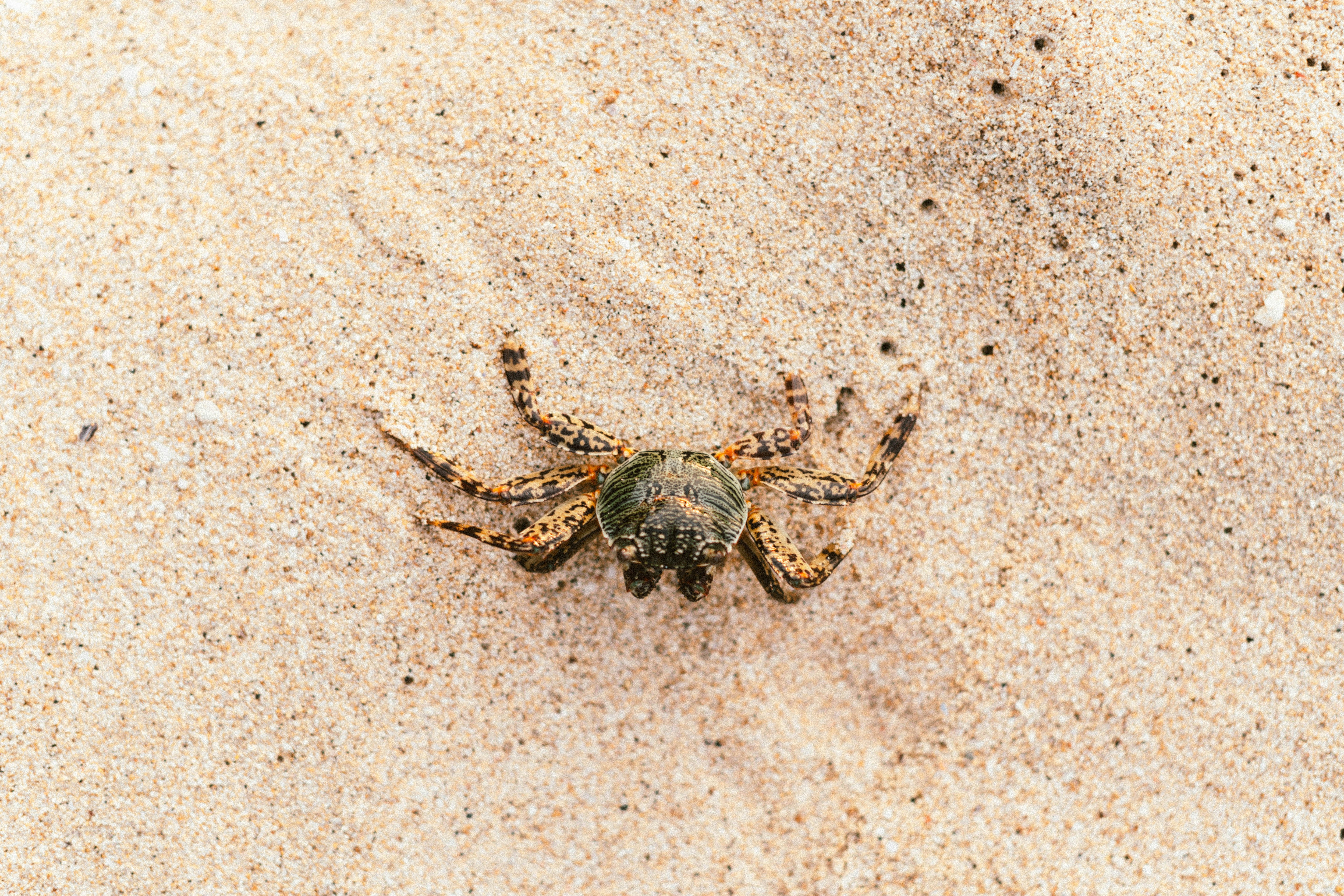 Photo by __humanbean