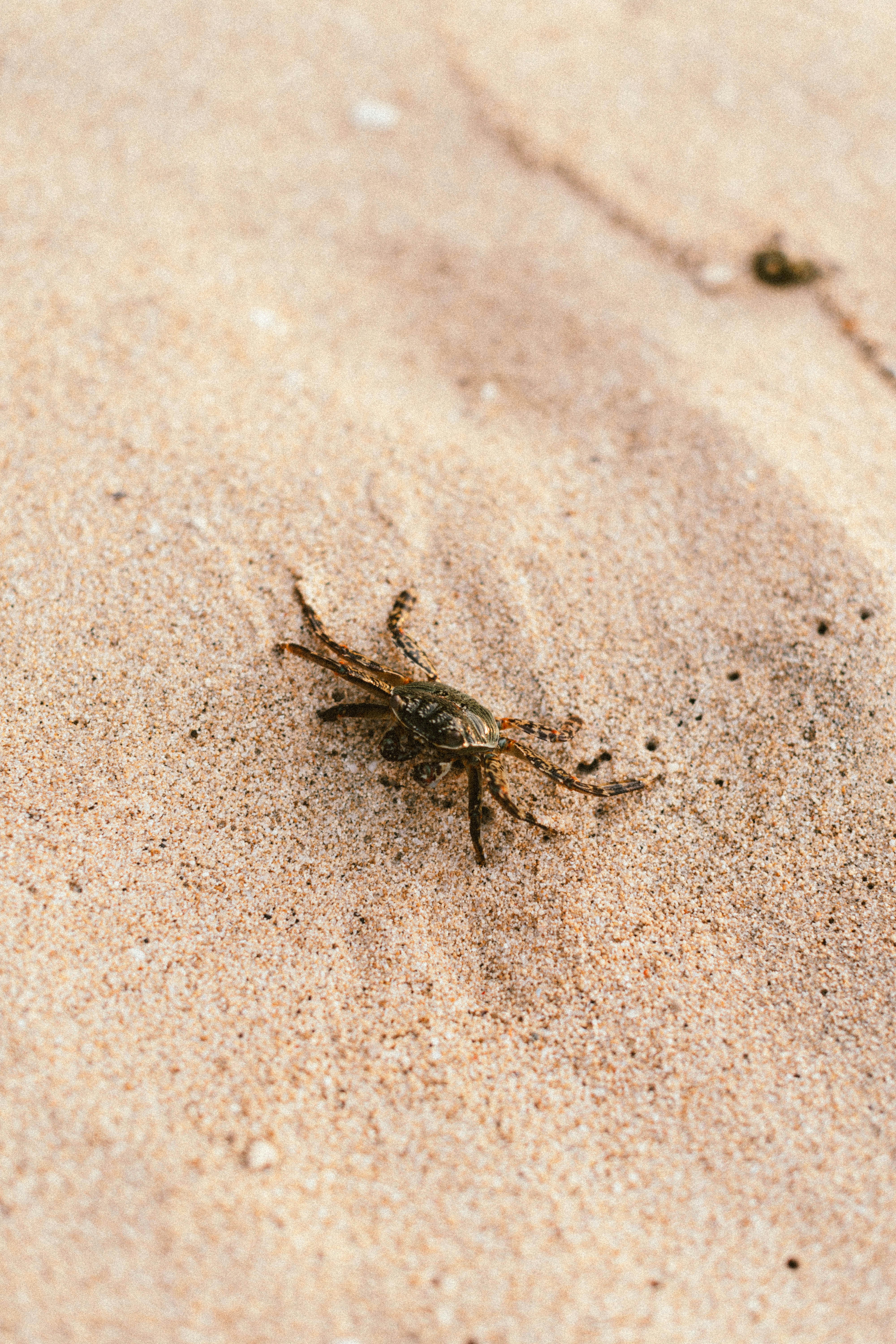 Photo by __humanbean