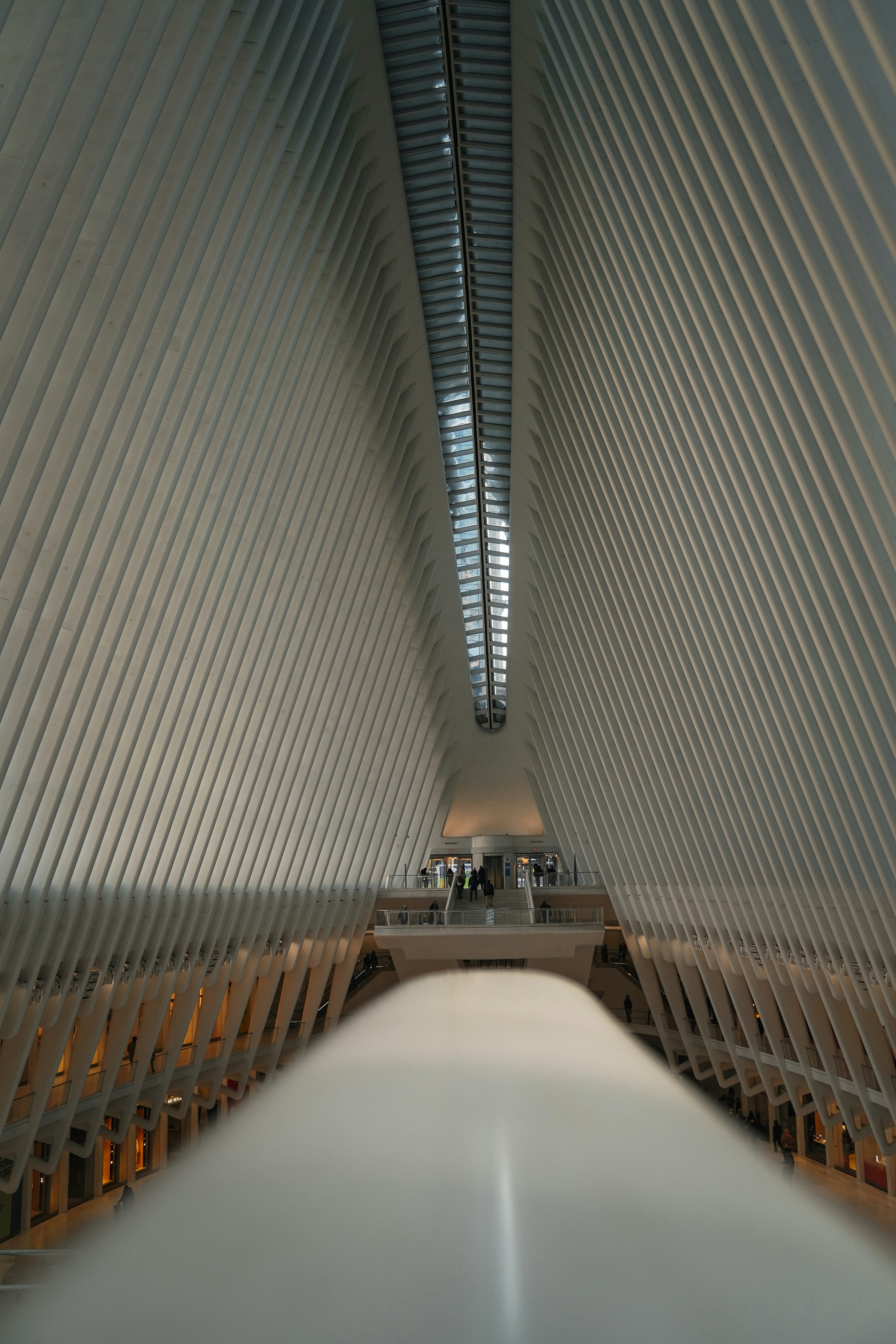 Photo by johanneshuebner