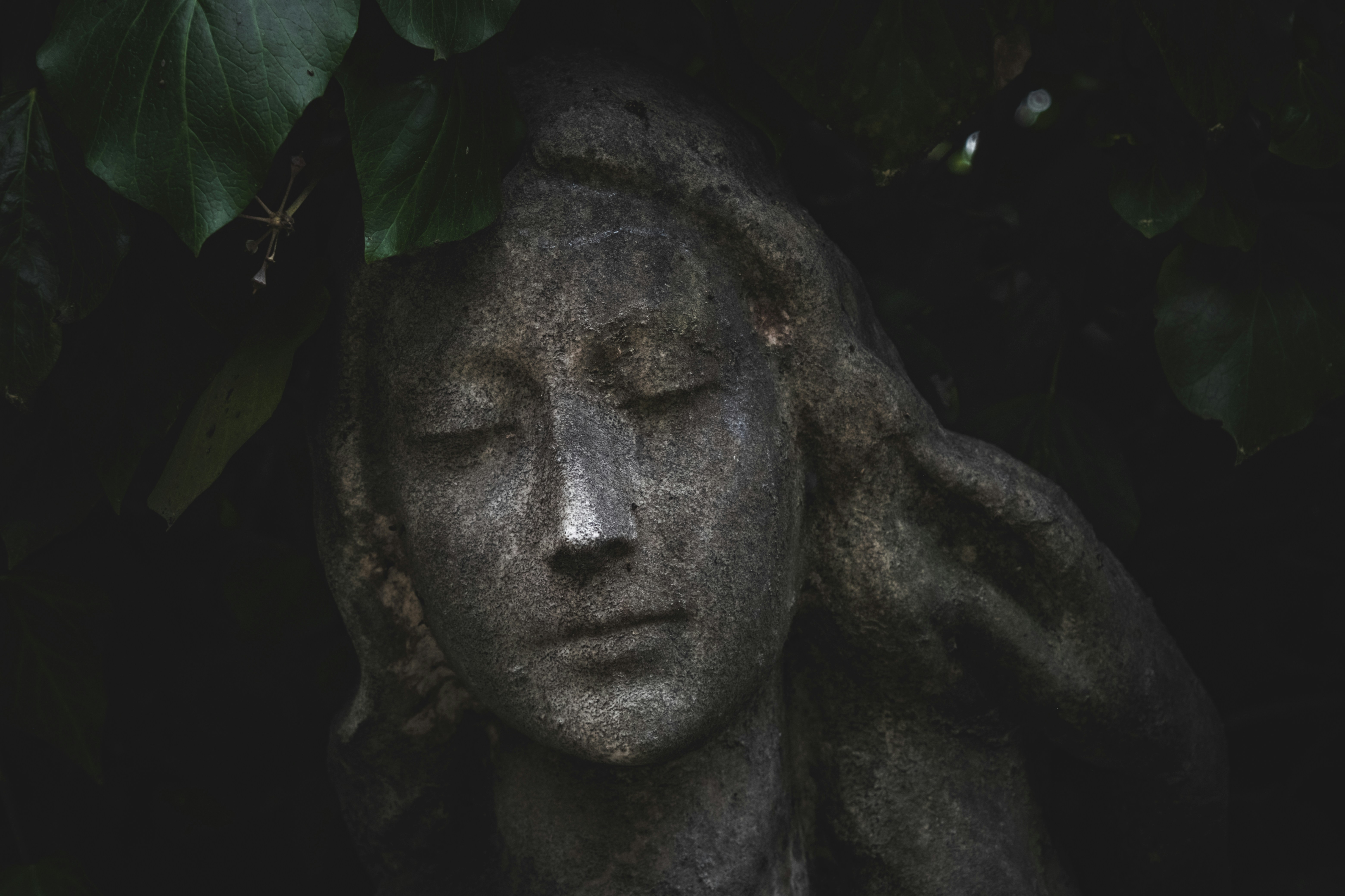 Photo by francesco_ungaro