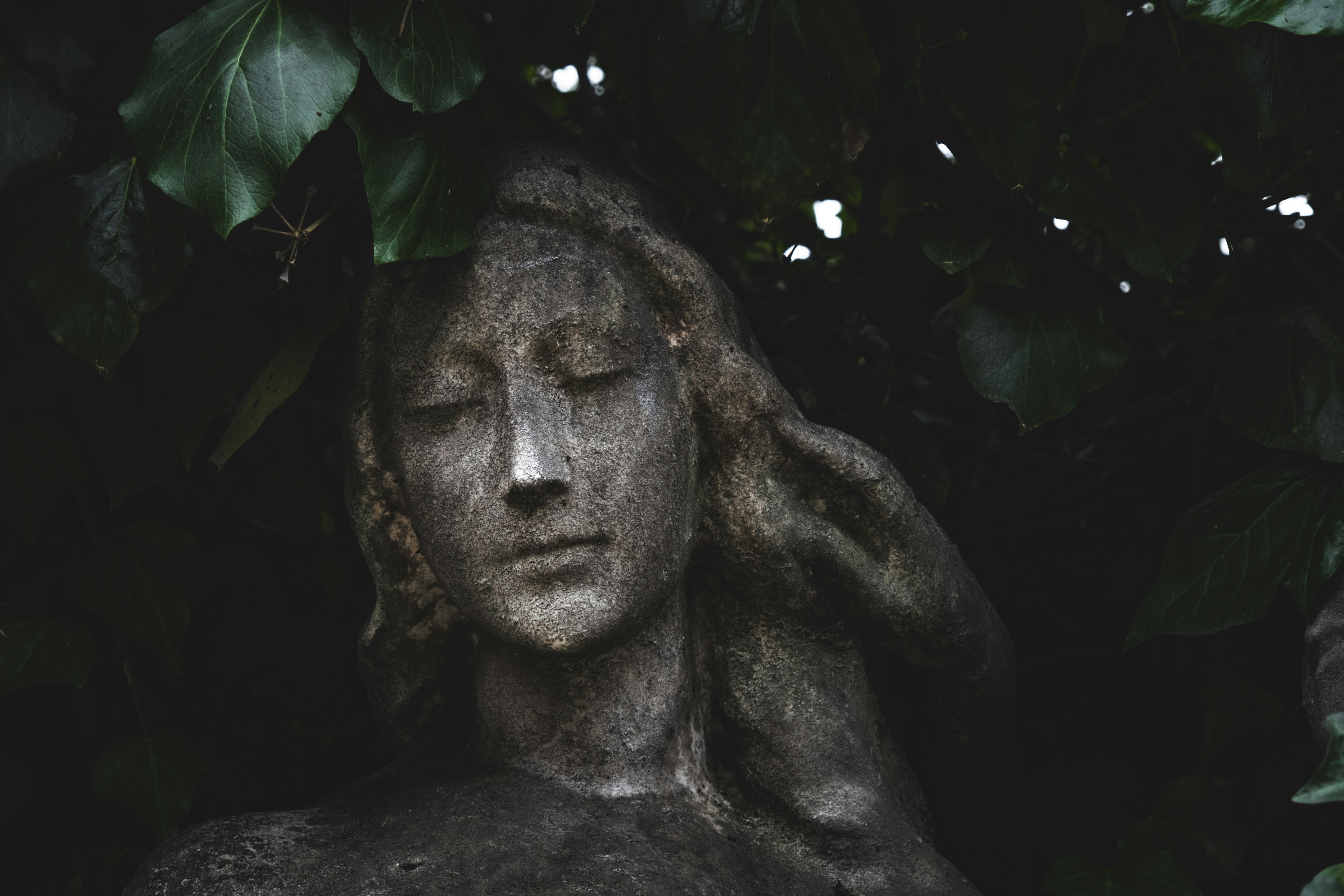 Photo by francesco_ungaro