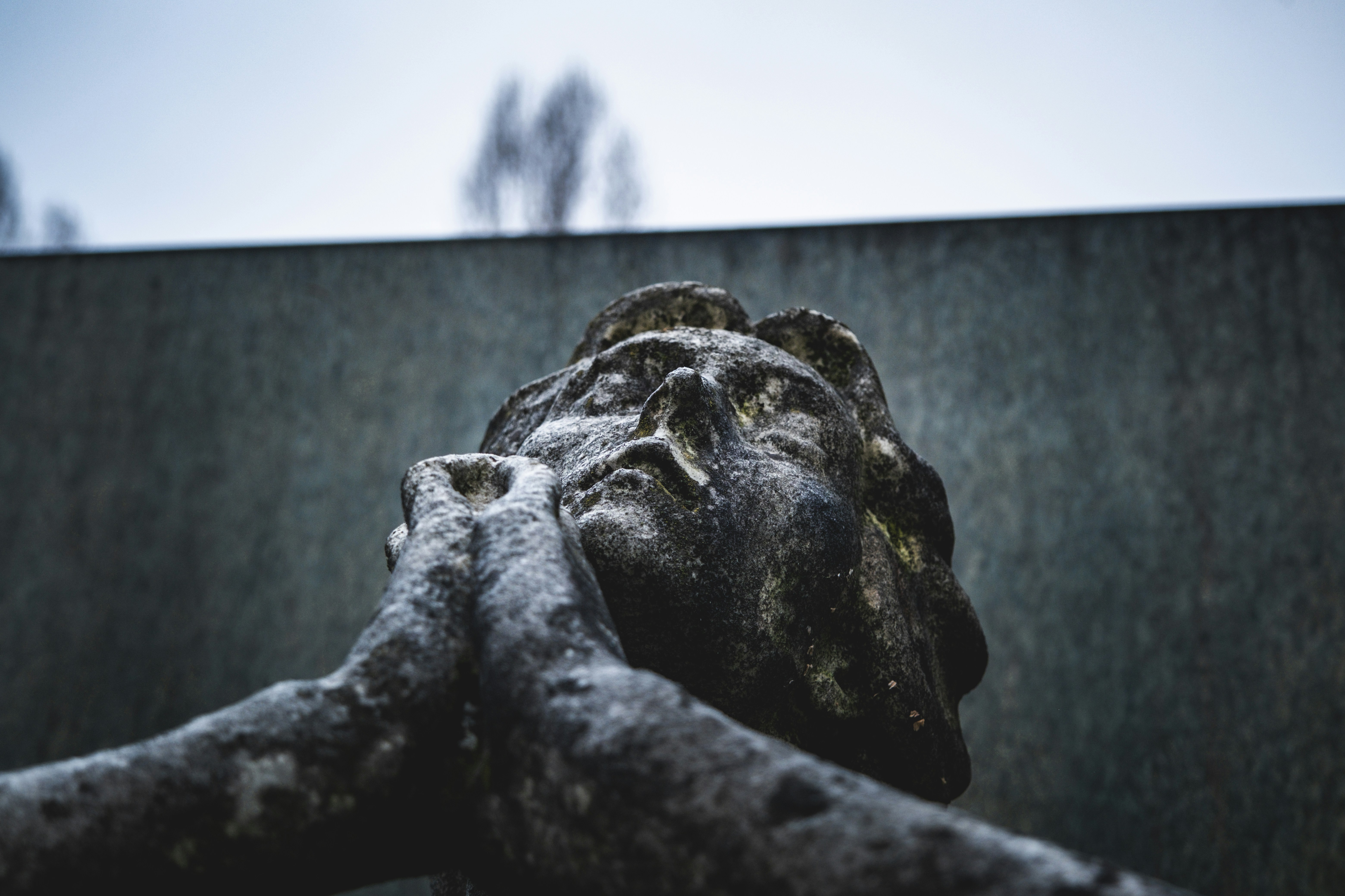 Photo by francesco_ungaro