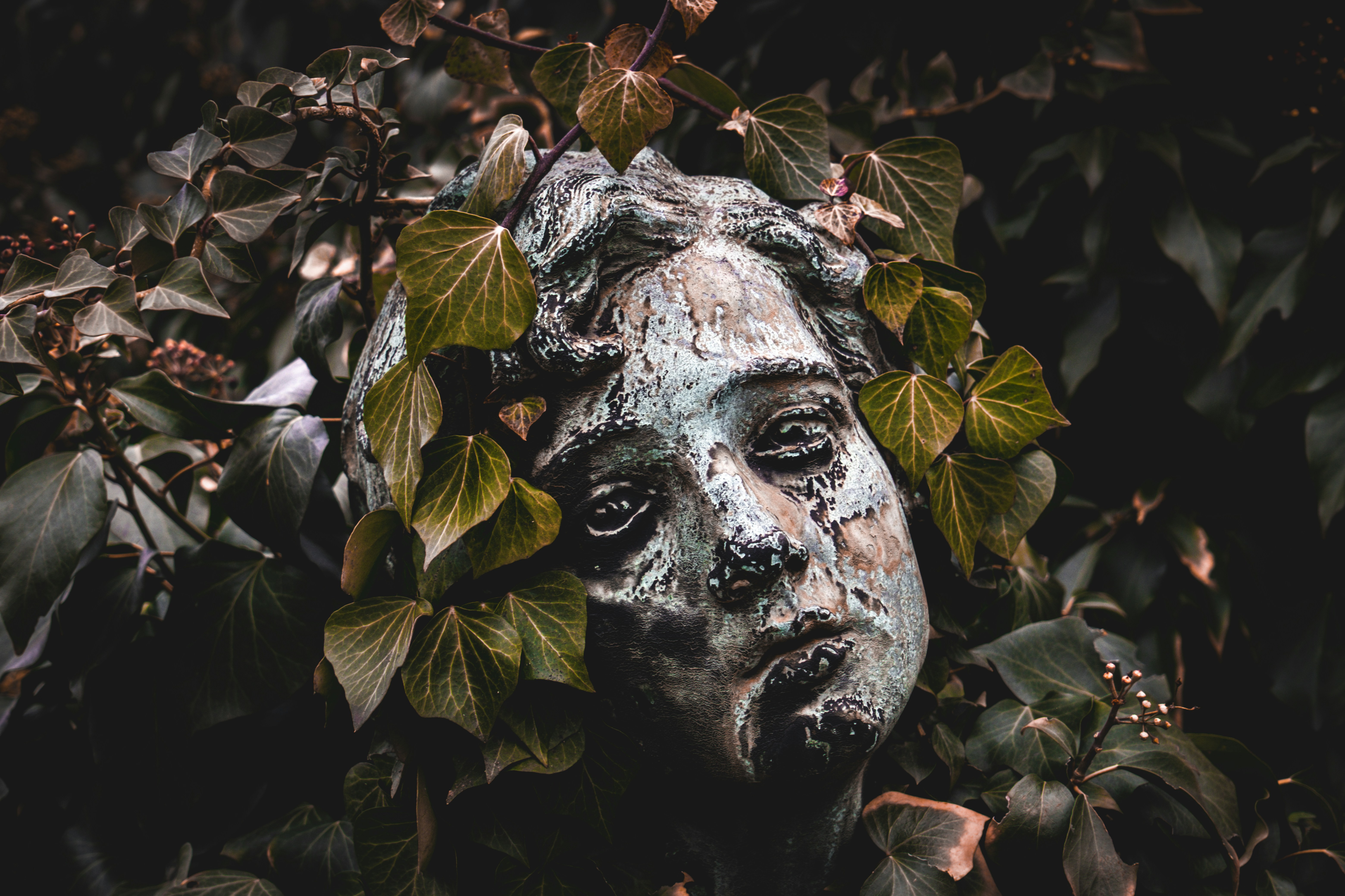 Photo by francesco_ungaro