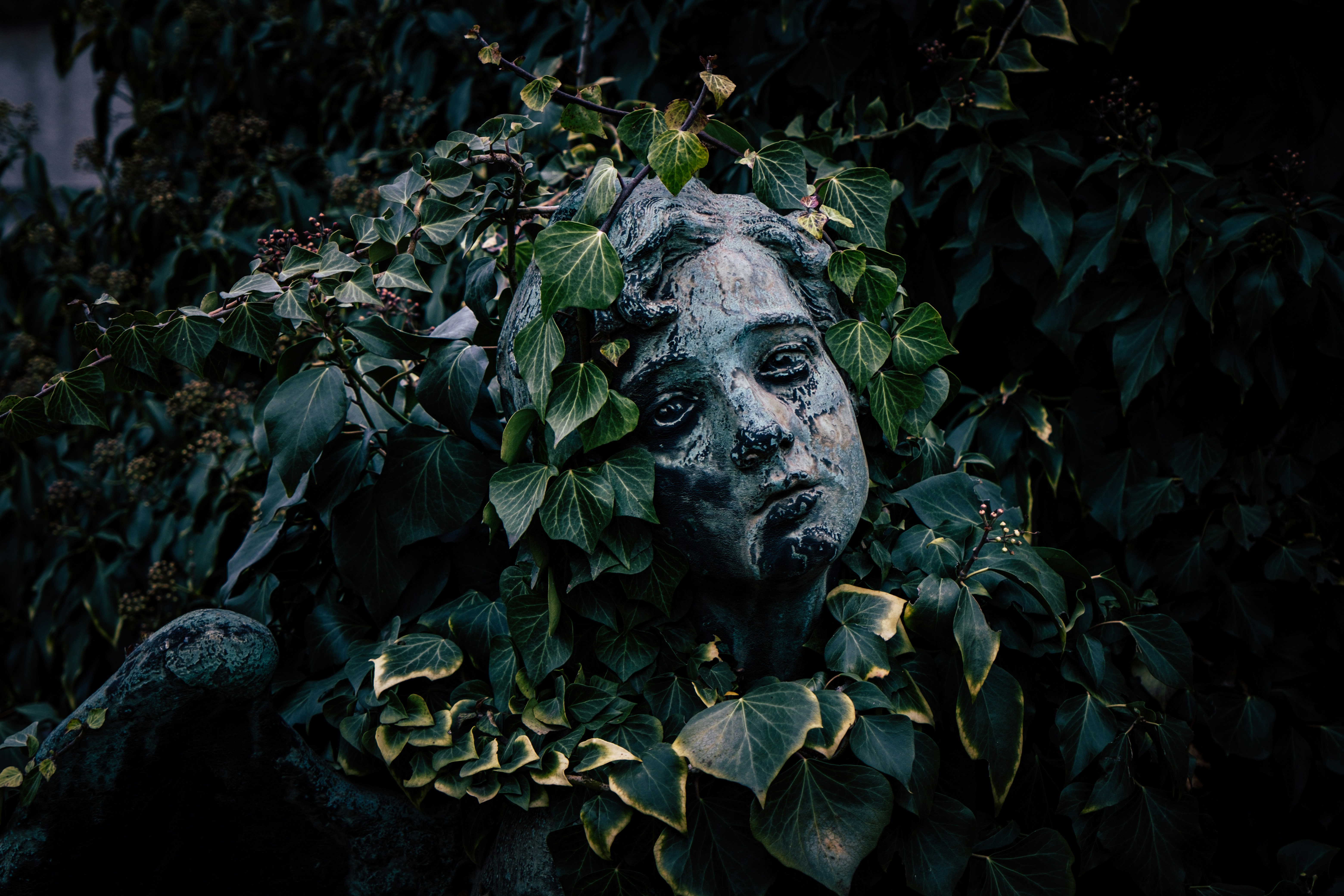 Photo by francesco_ungaro