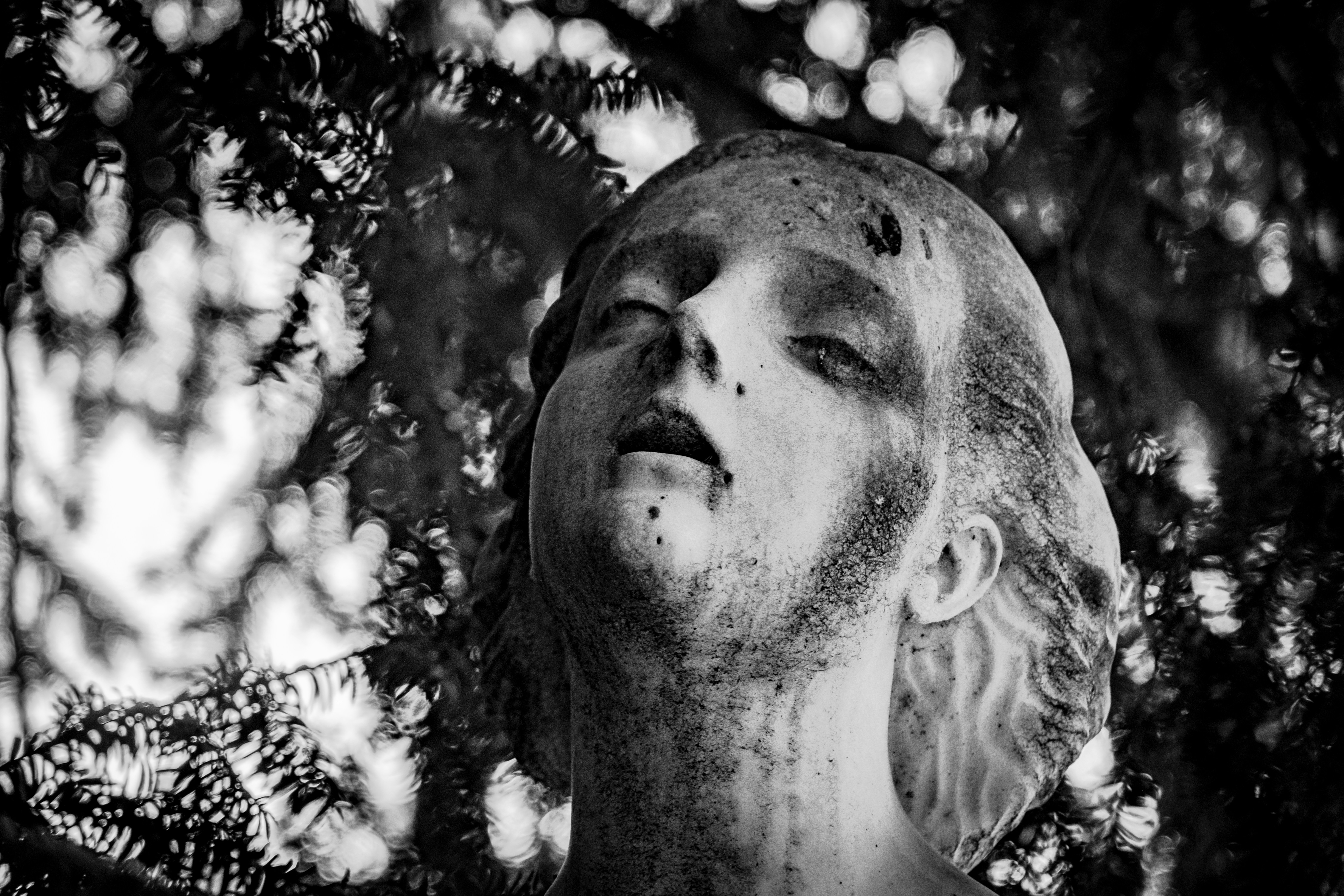 親愛的陌生人 - 你需要的不見得都被給予
但對方需要時你總是存在

擺一面鏡子
期盼著能看見其中的映像