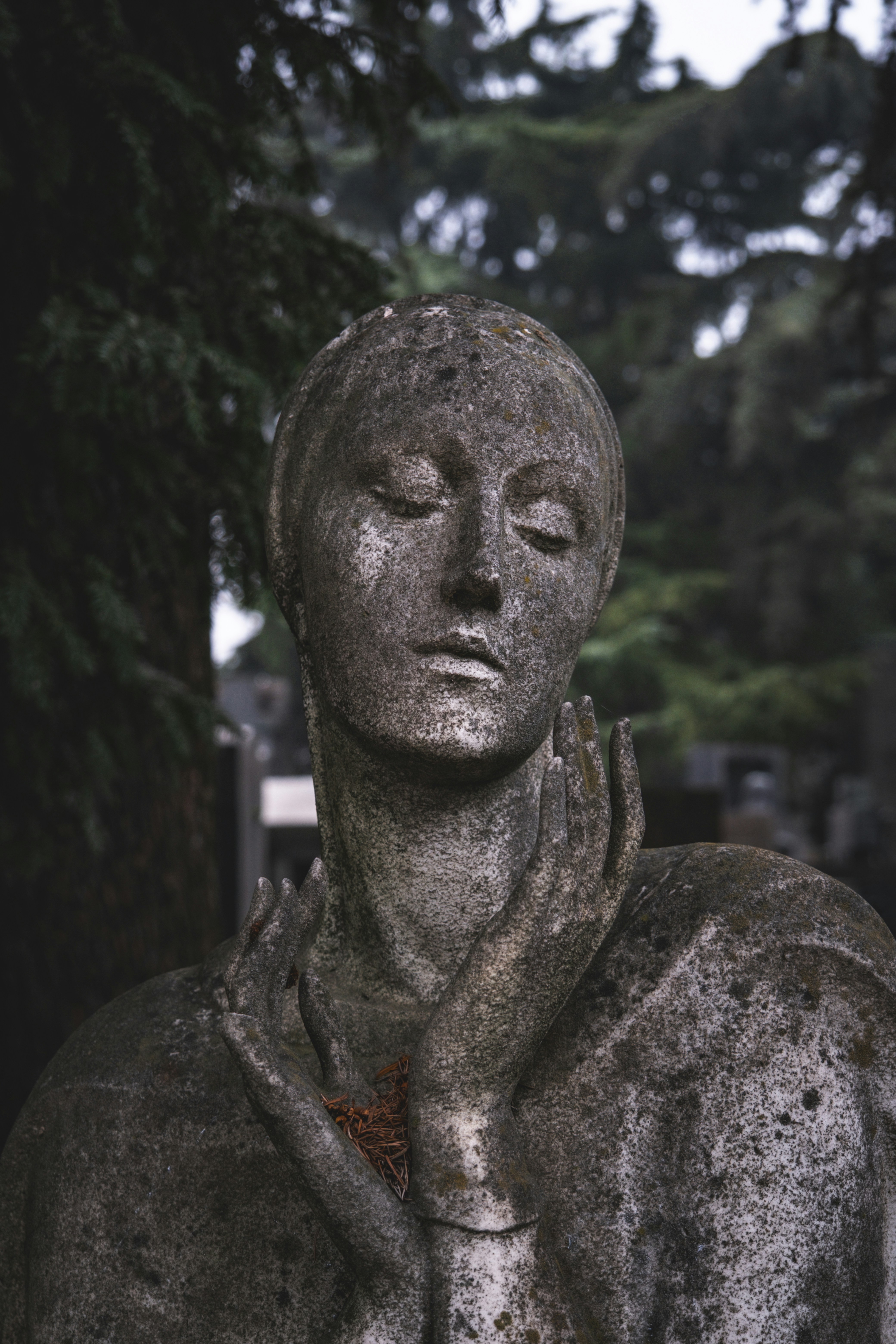 Photo by francesco_ungaro