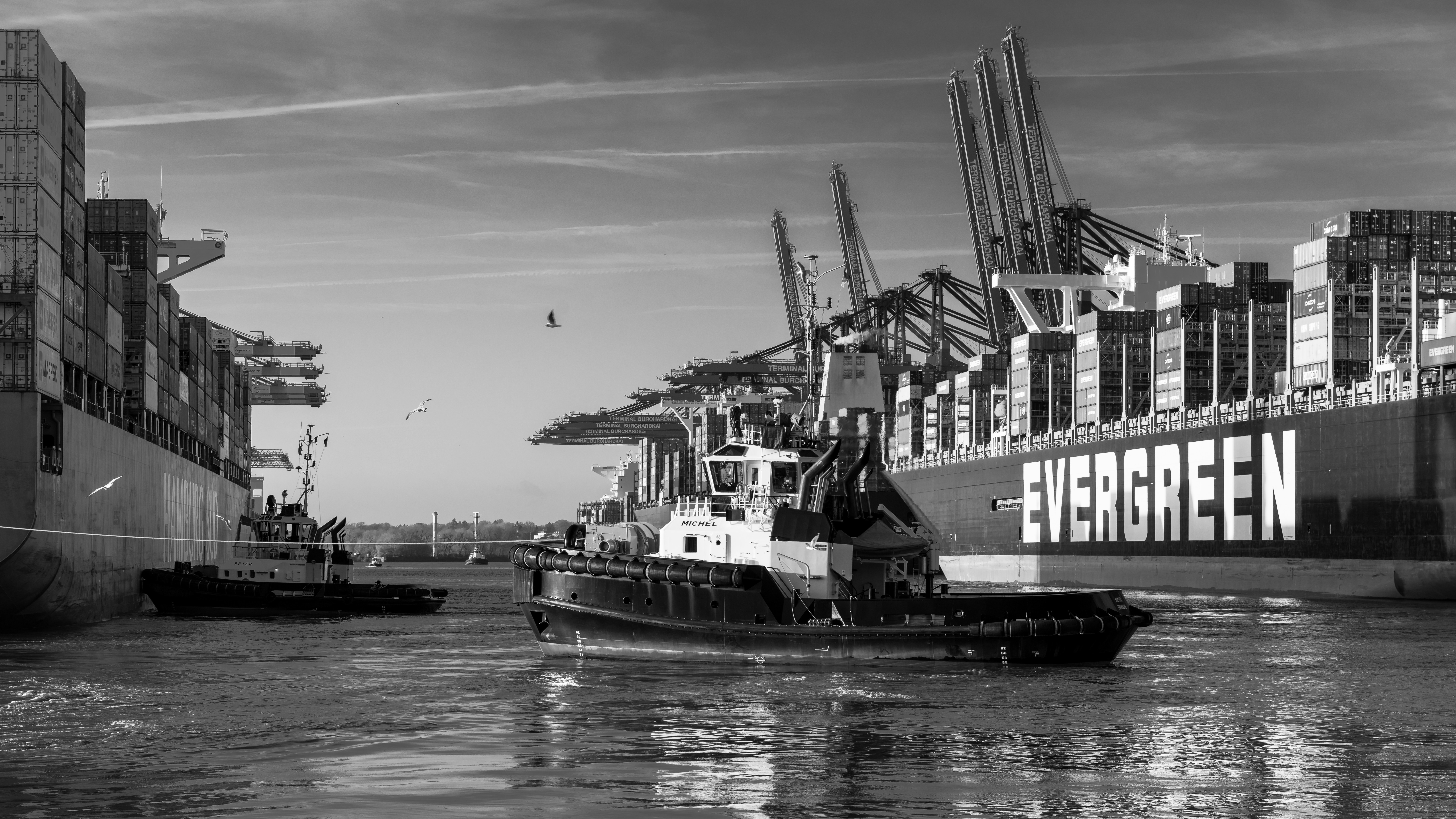 Photo by hamburgmeinefreundin