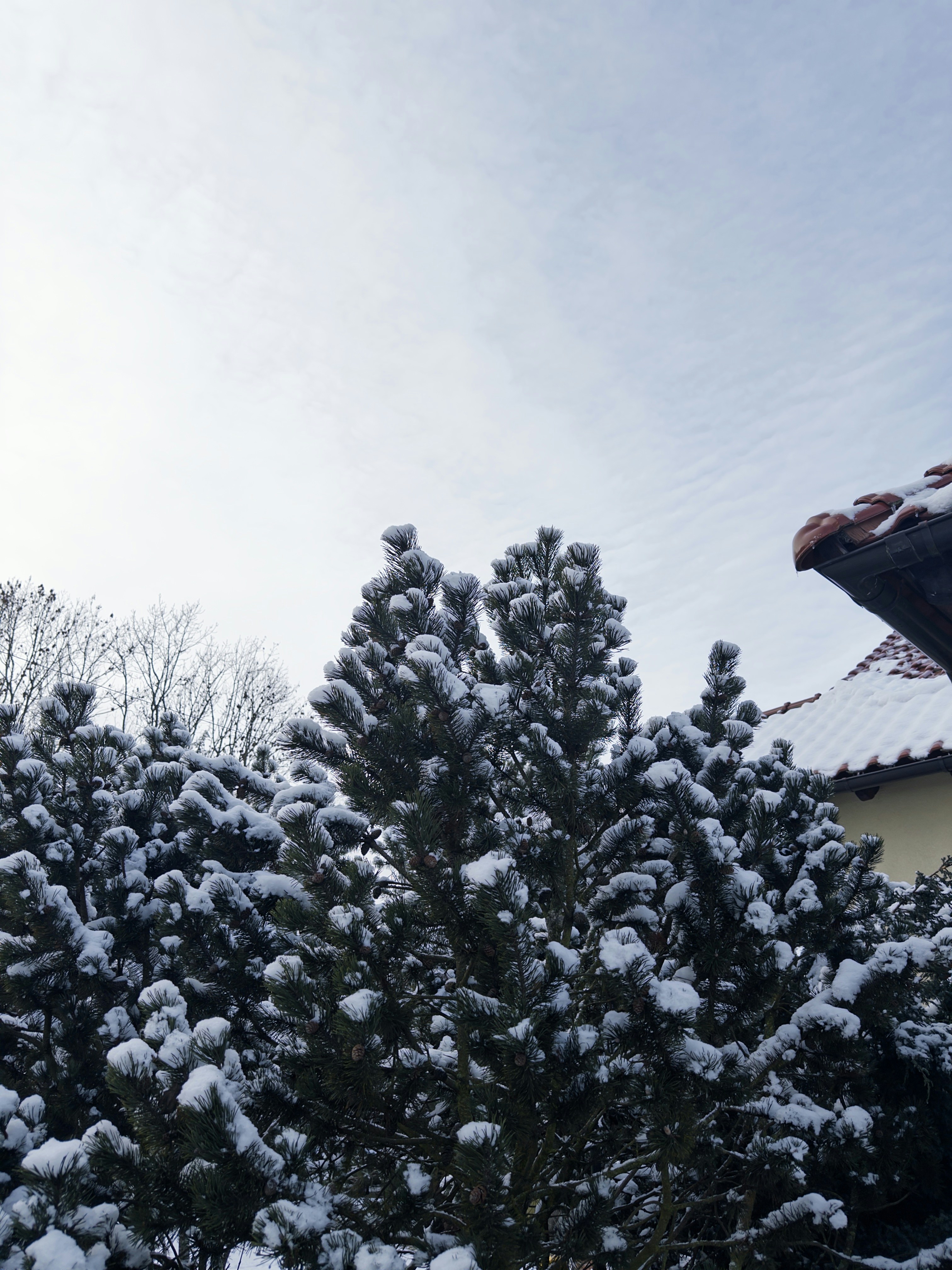 Photo by andreas_kruszakin