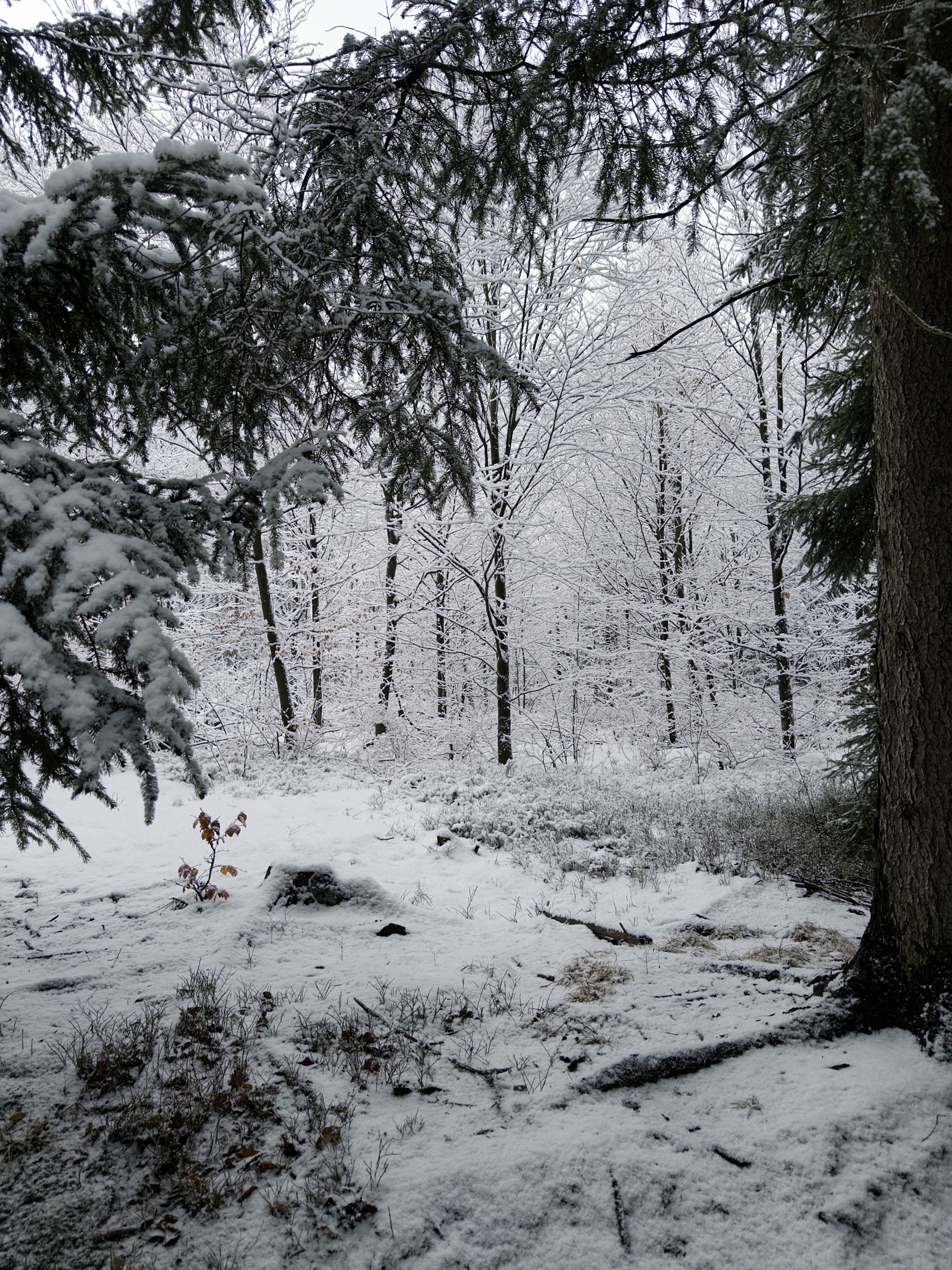 Photo by andreas_kruszakin