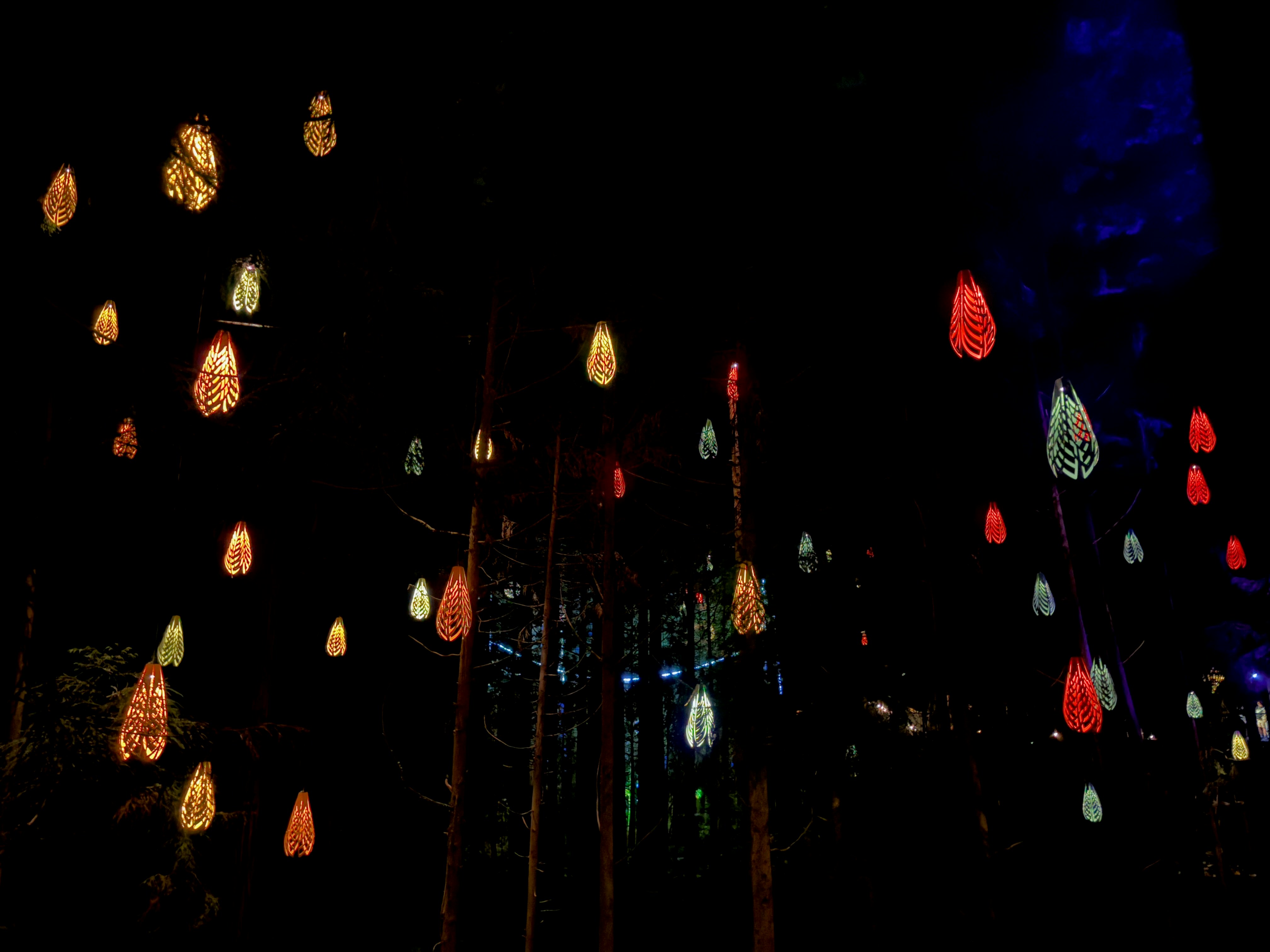 Photo by kushanjanith