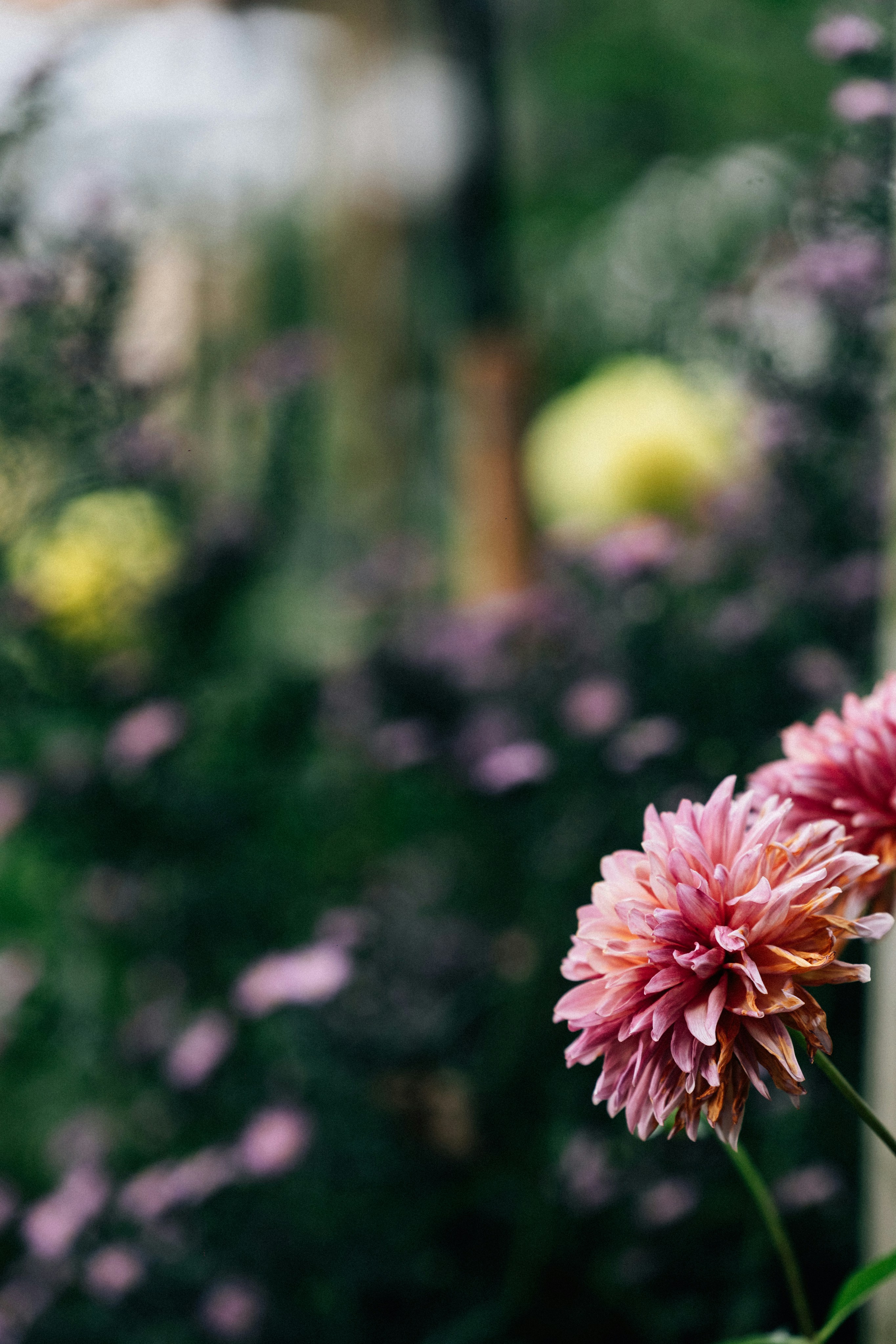 Photo by tsuyoshikozu