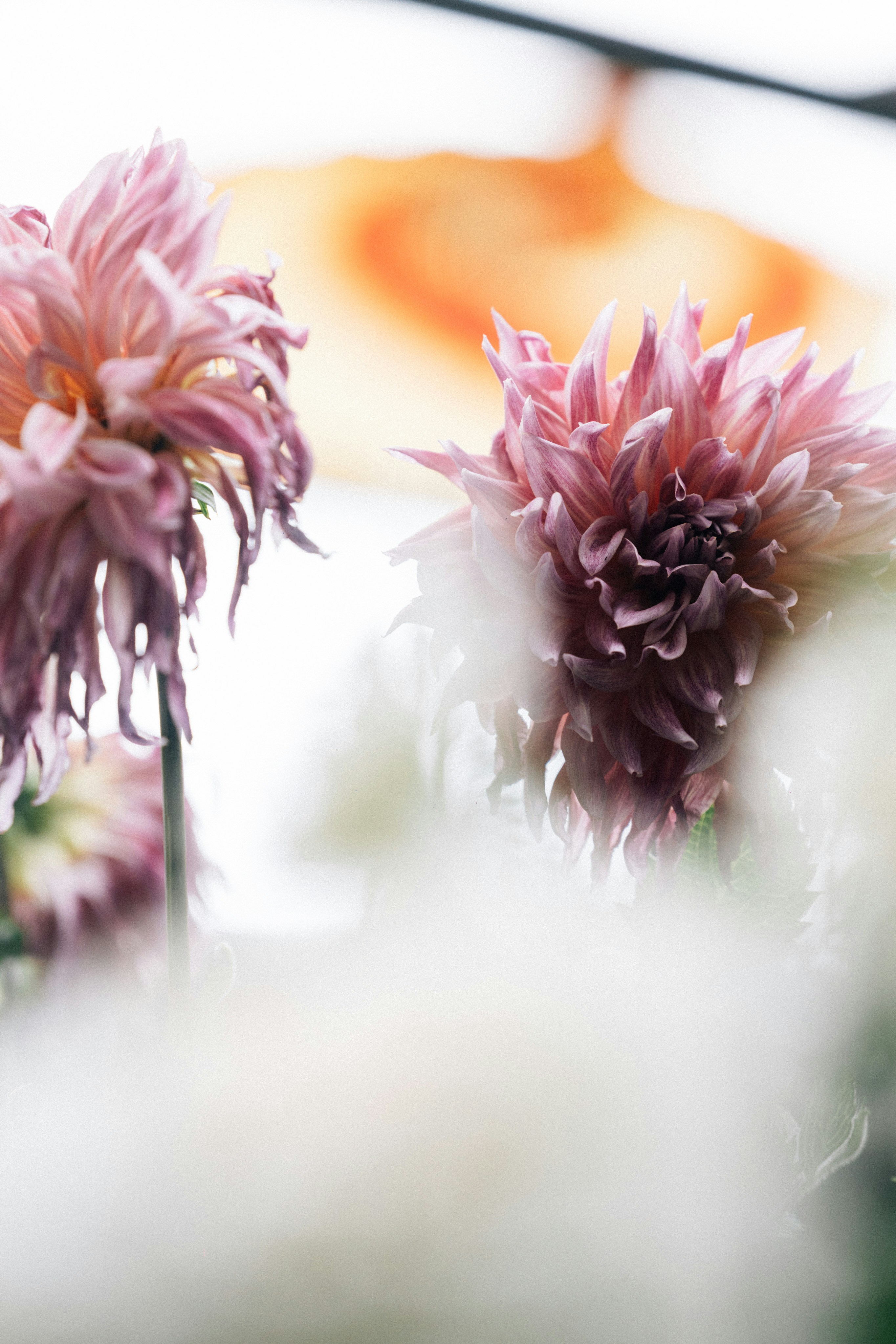 Photo by tsuyoshikozu