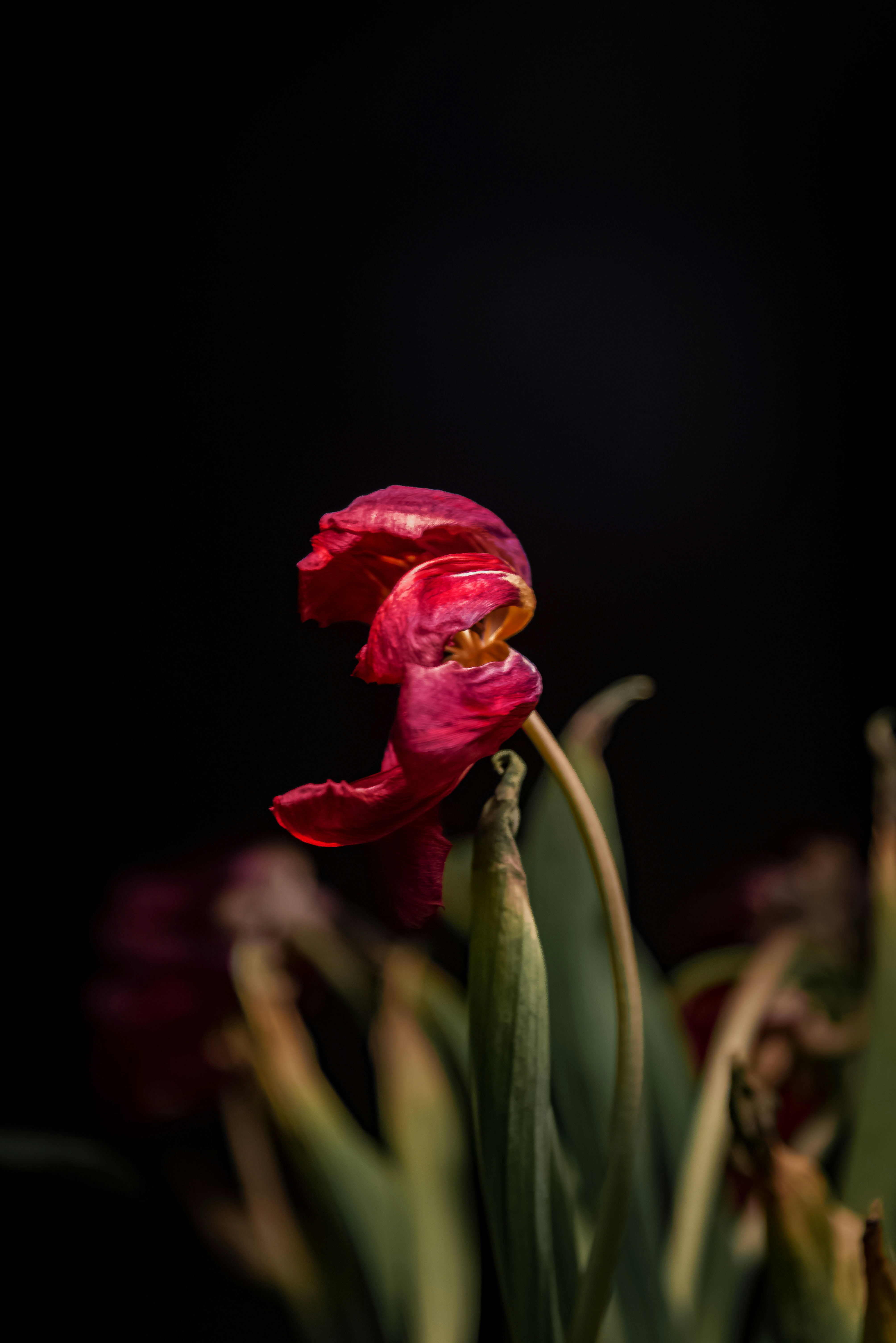 Photo by malwinanogaj