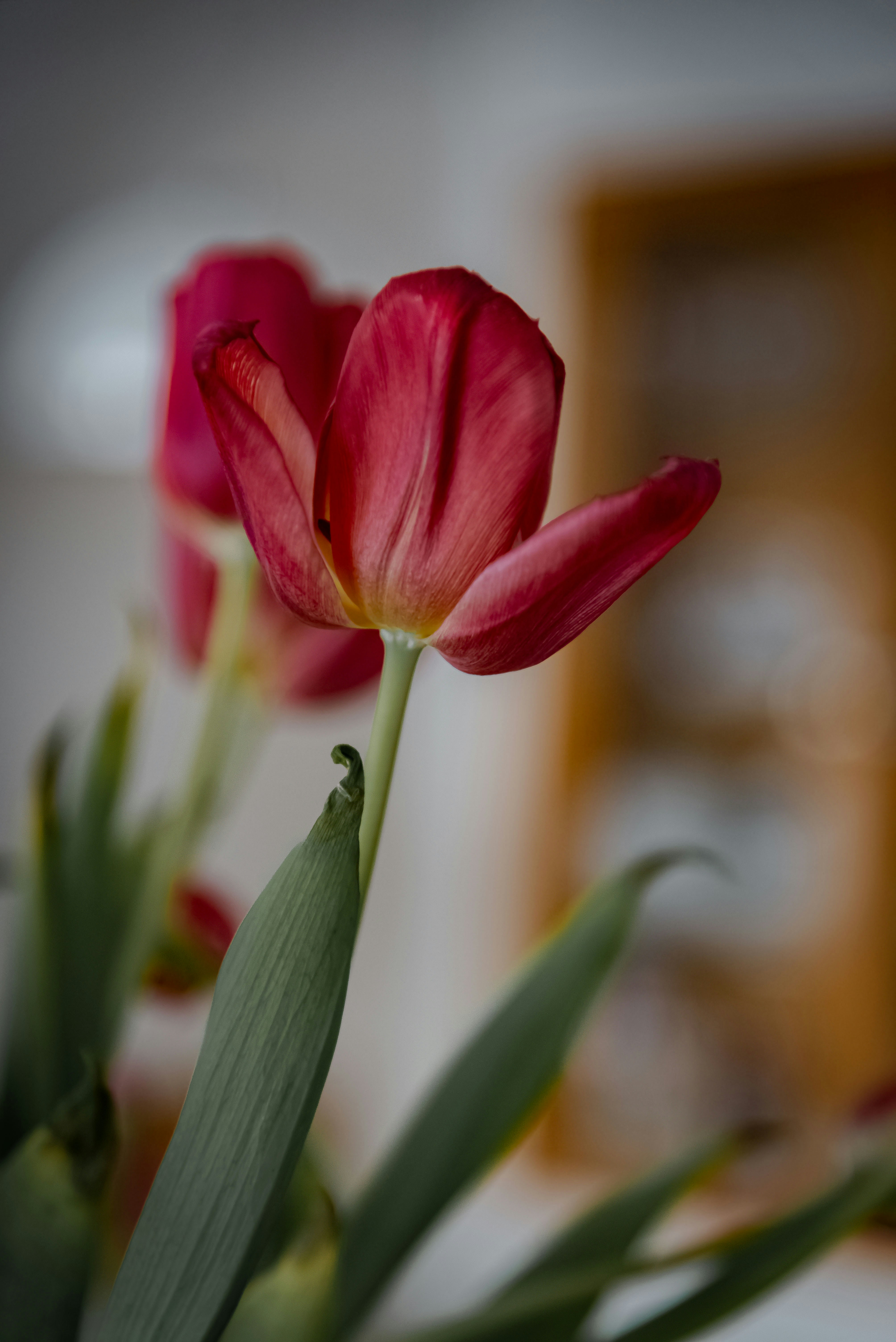 Photo by malwinanogaj