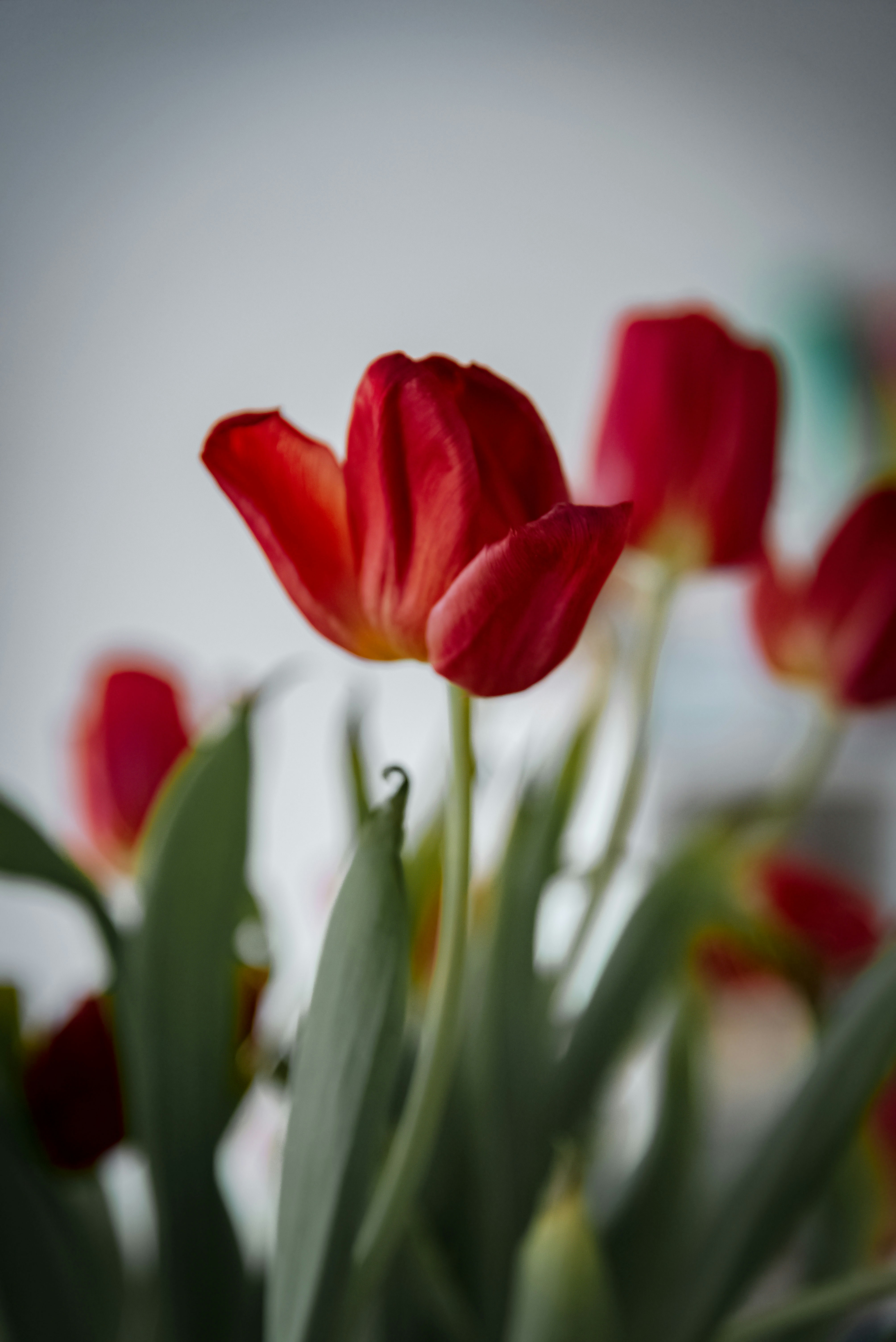 Photo by malwinanogaj