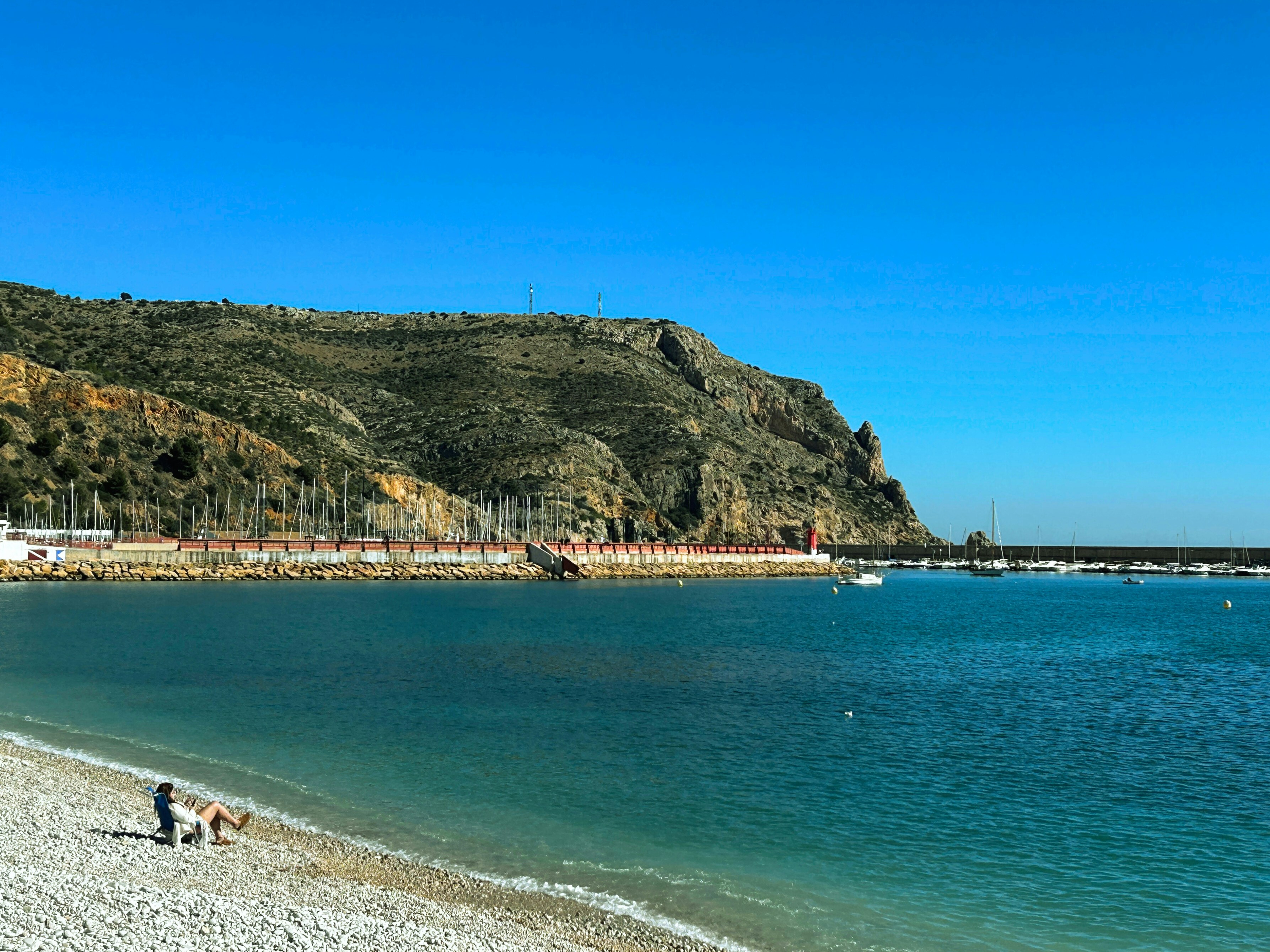 coastal wallpaper dog, wallpaper, Pet-Friendly Coastal Guest Rooms: Your Guide 5