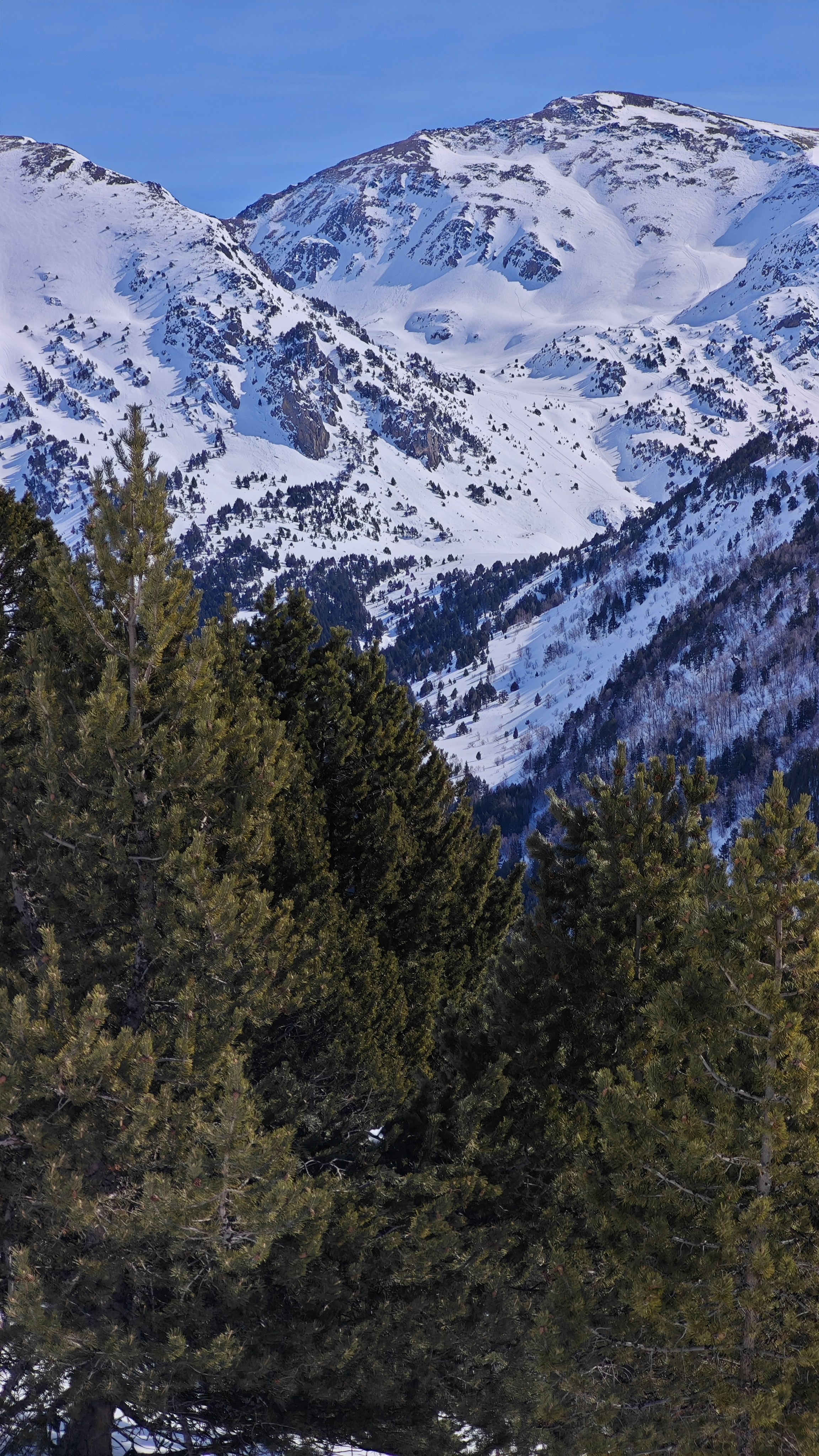 Photo by gandinifranco4