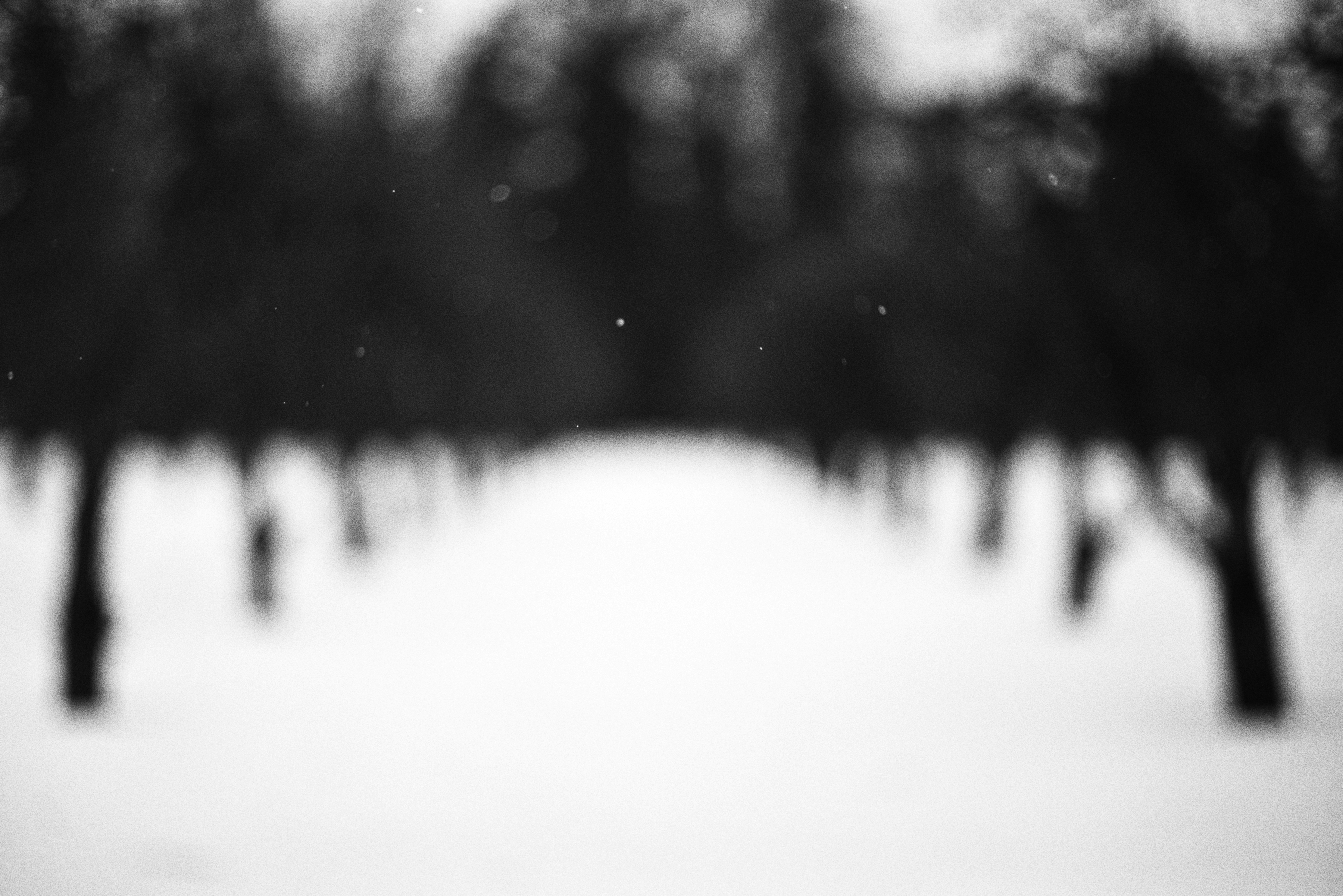 Photo by cherstve_pechivo