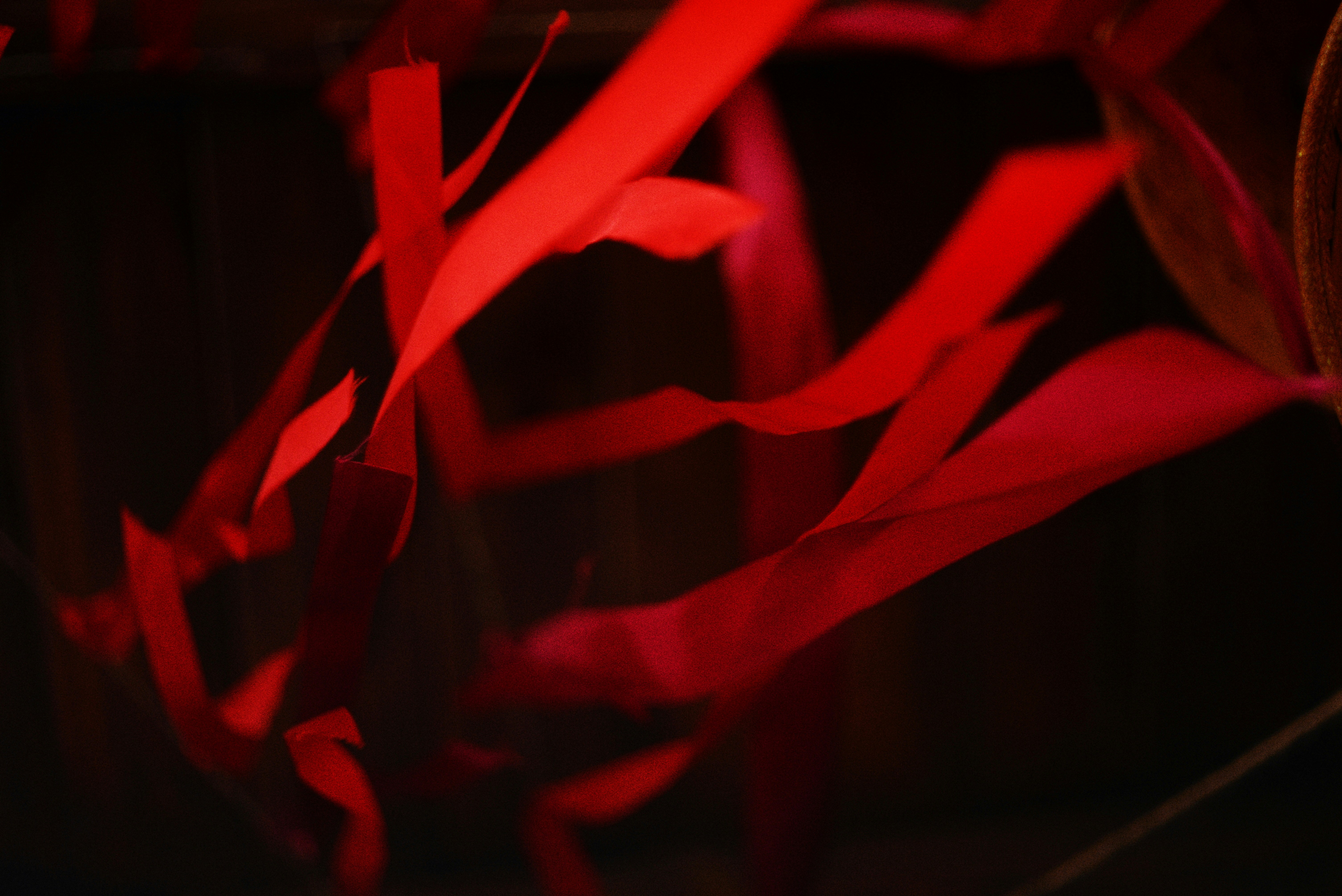 Photo by cherstve_pechivo