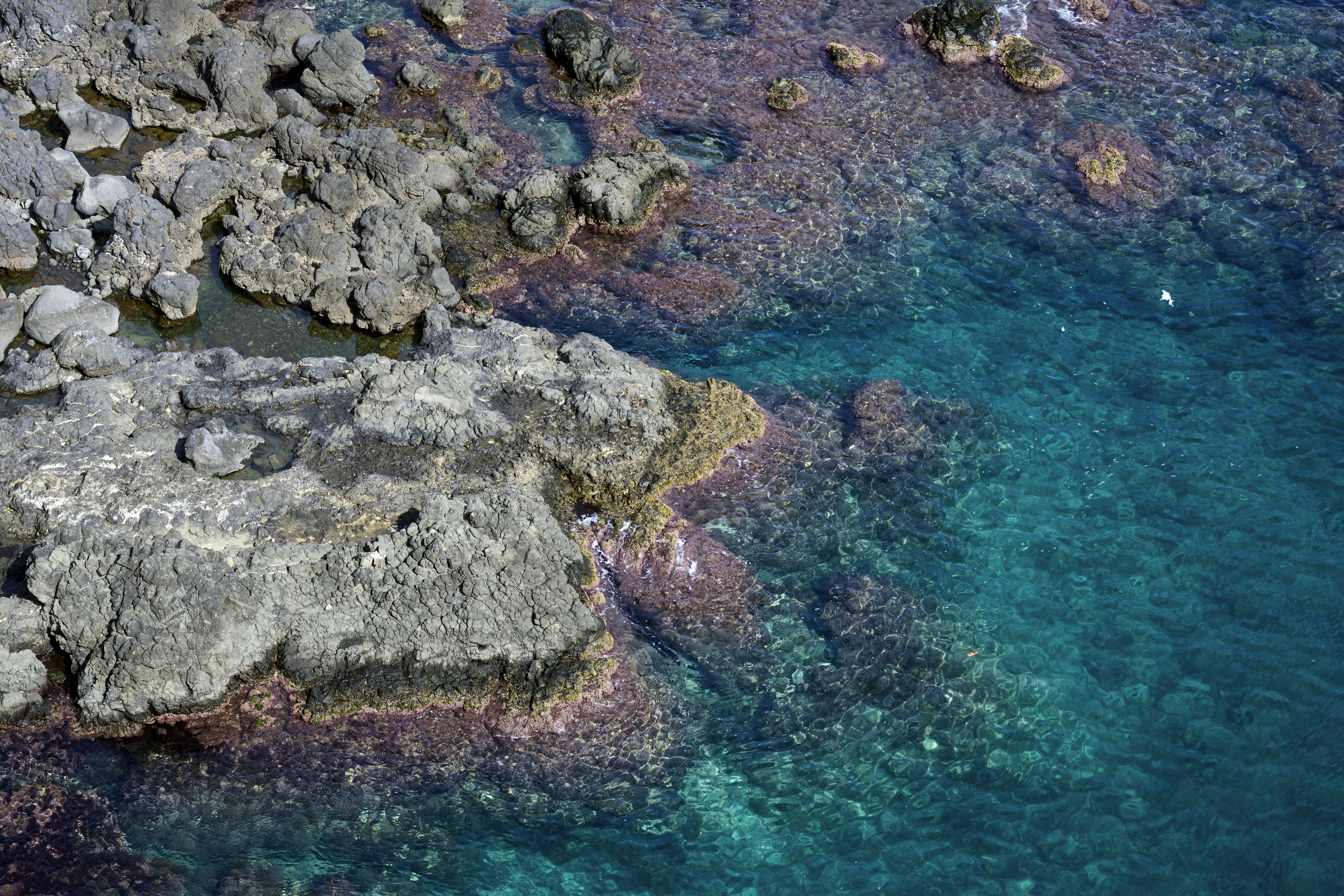 Photo by wolfgang_hasselmann