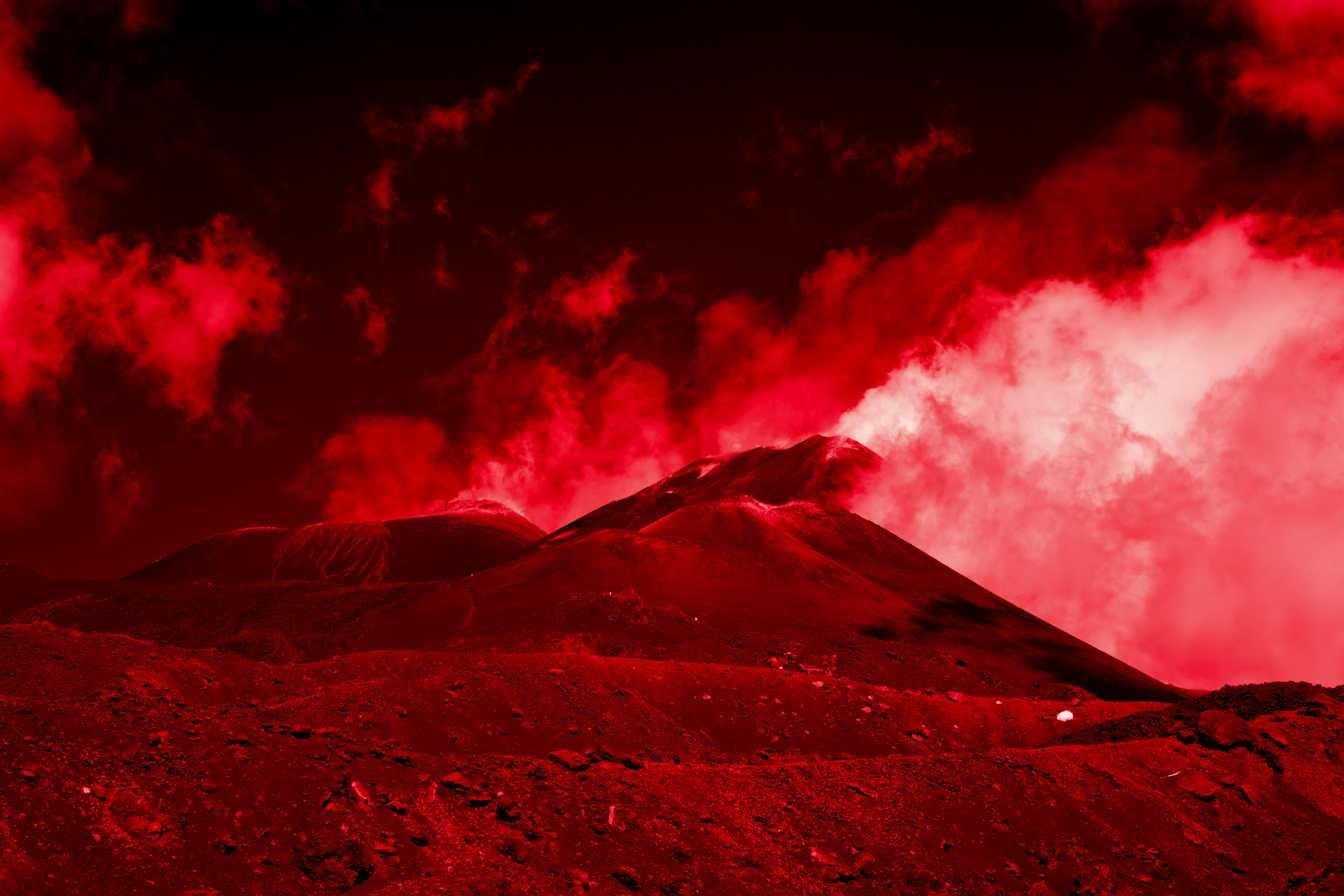 Photo by wolfgang_hasselmann