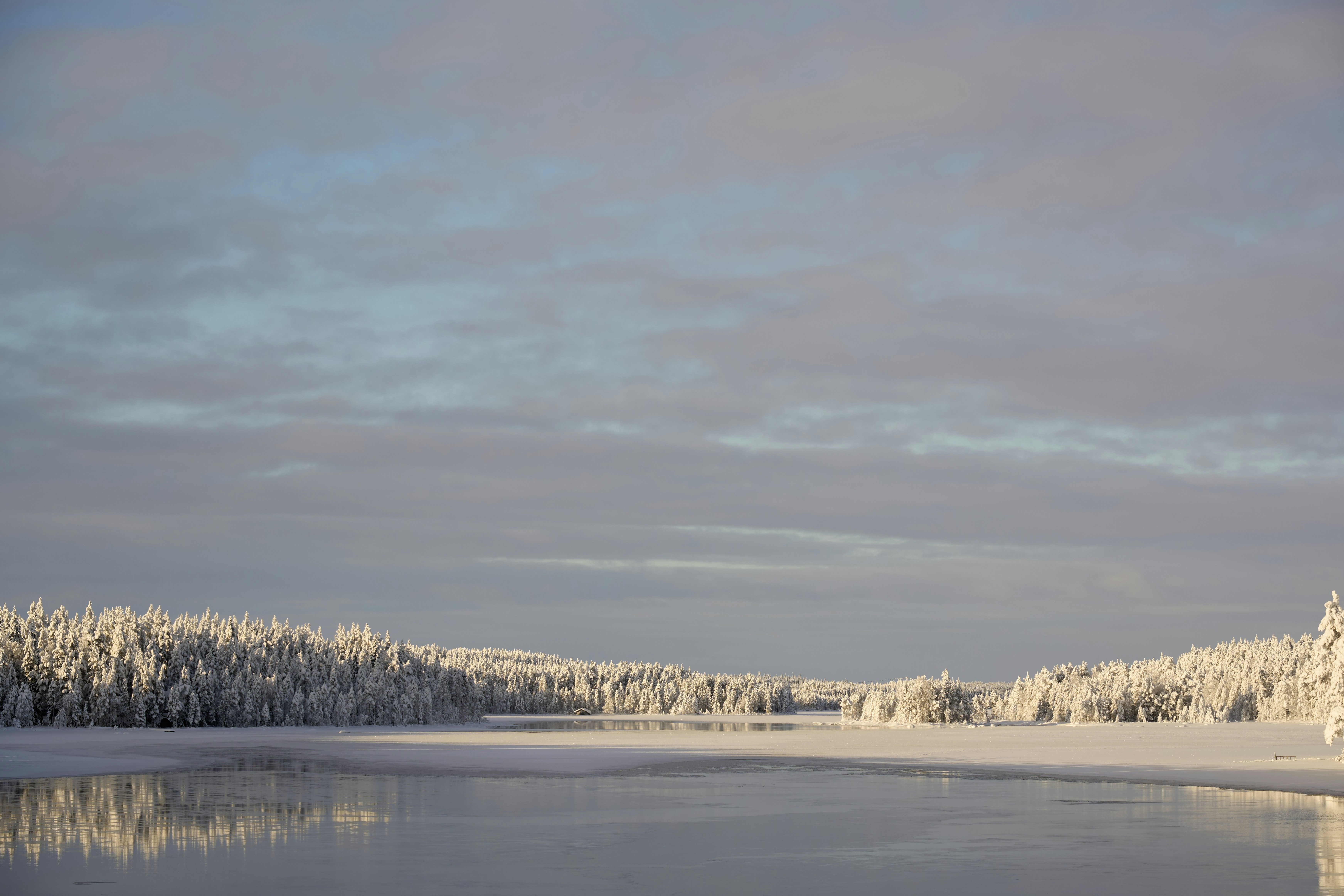 Photo by wolfgang_hasselmann