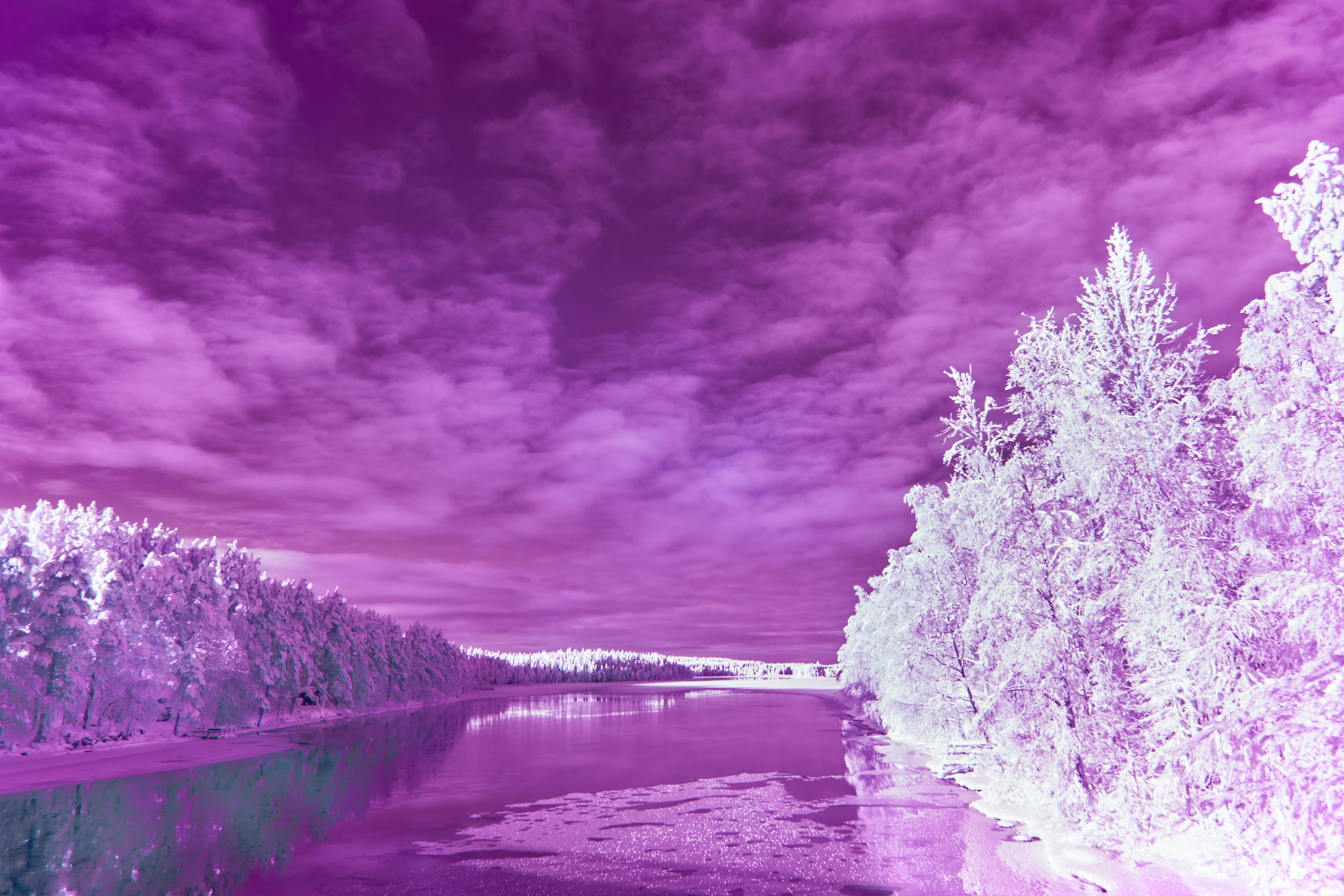 Photo by wolfgang_hasselmann