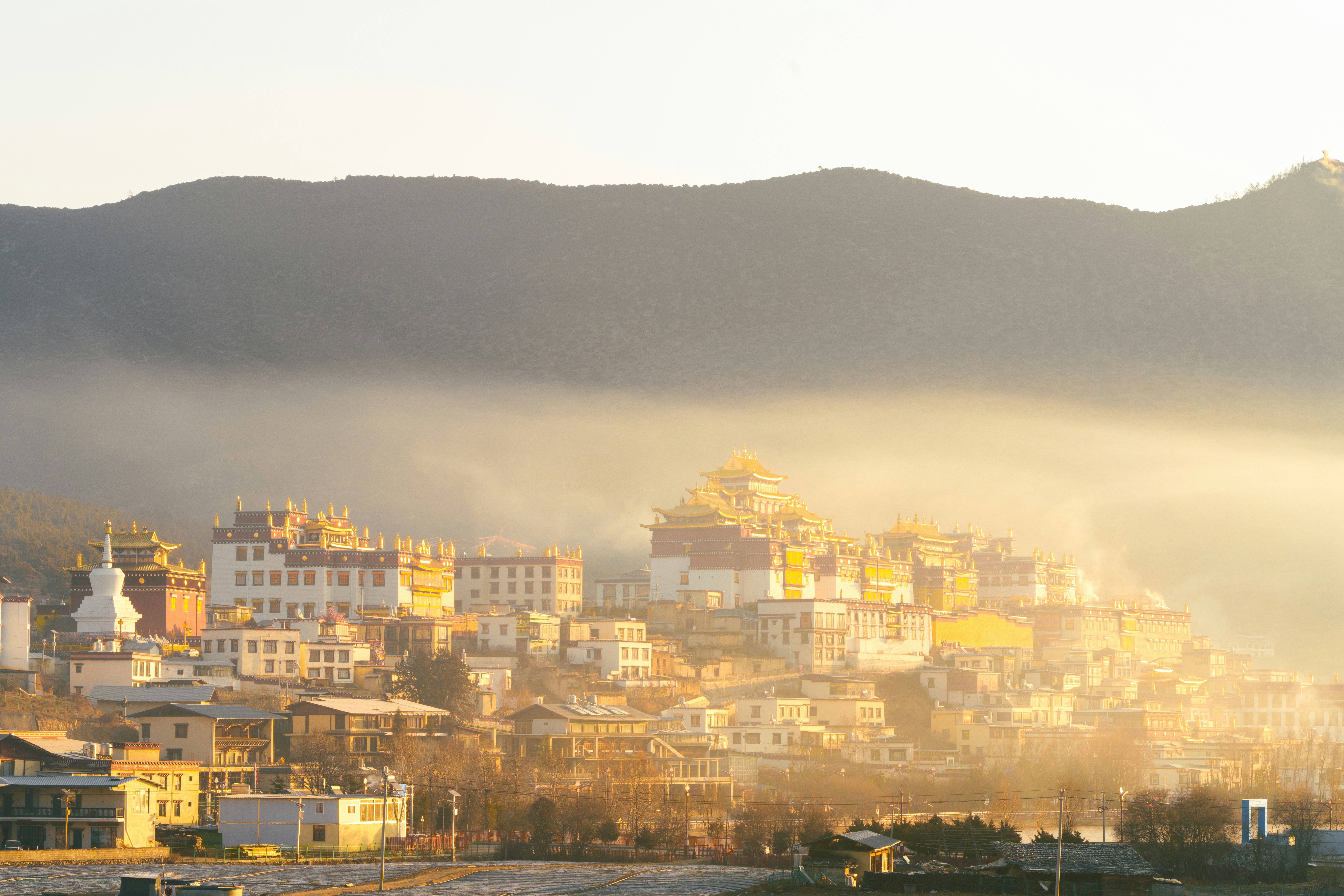 Photo by zhenyao_photo