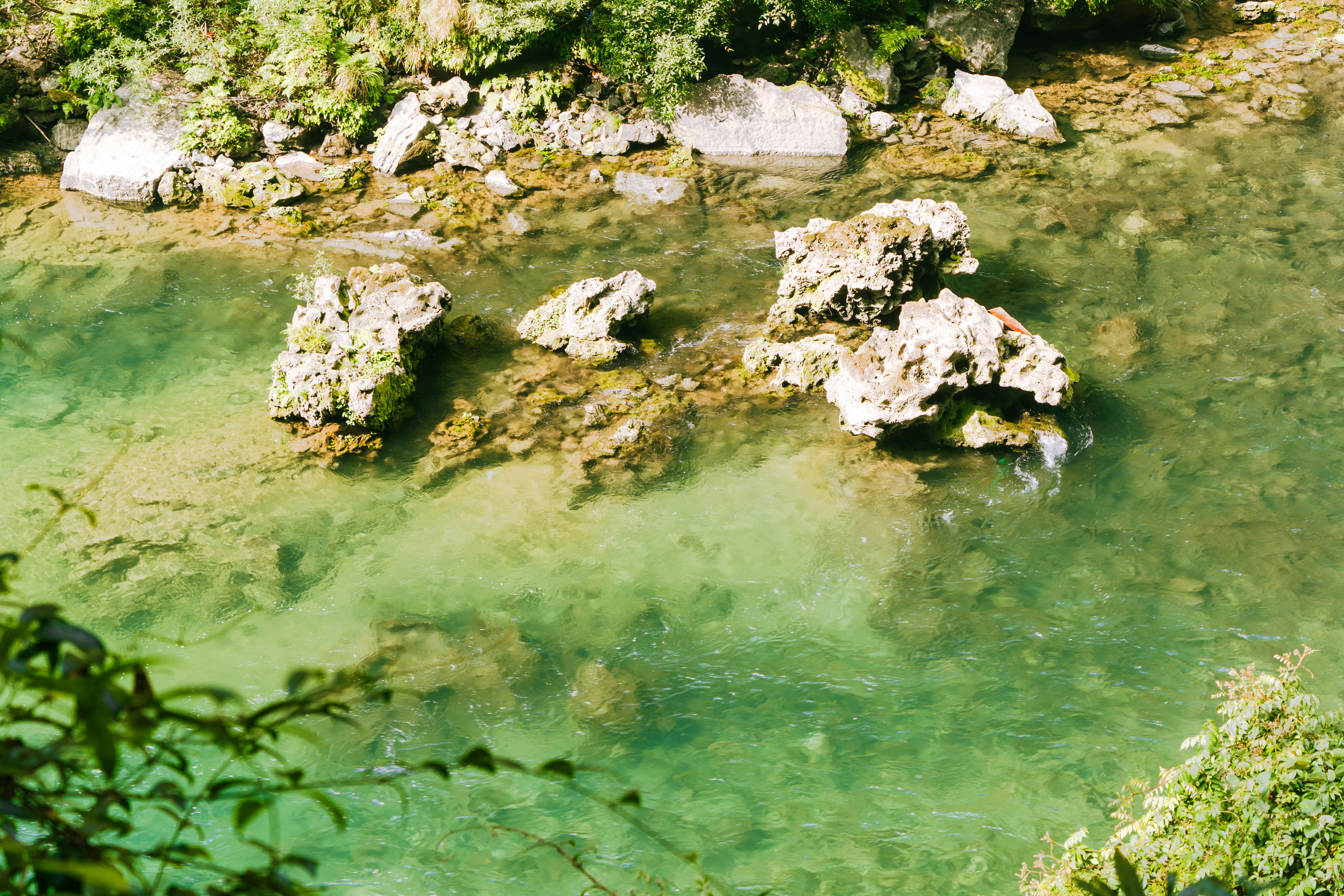 Photo by zhenyao_photo