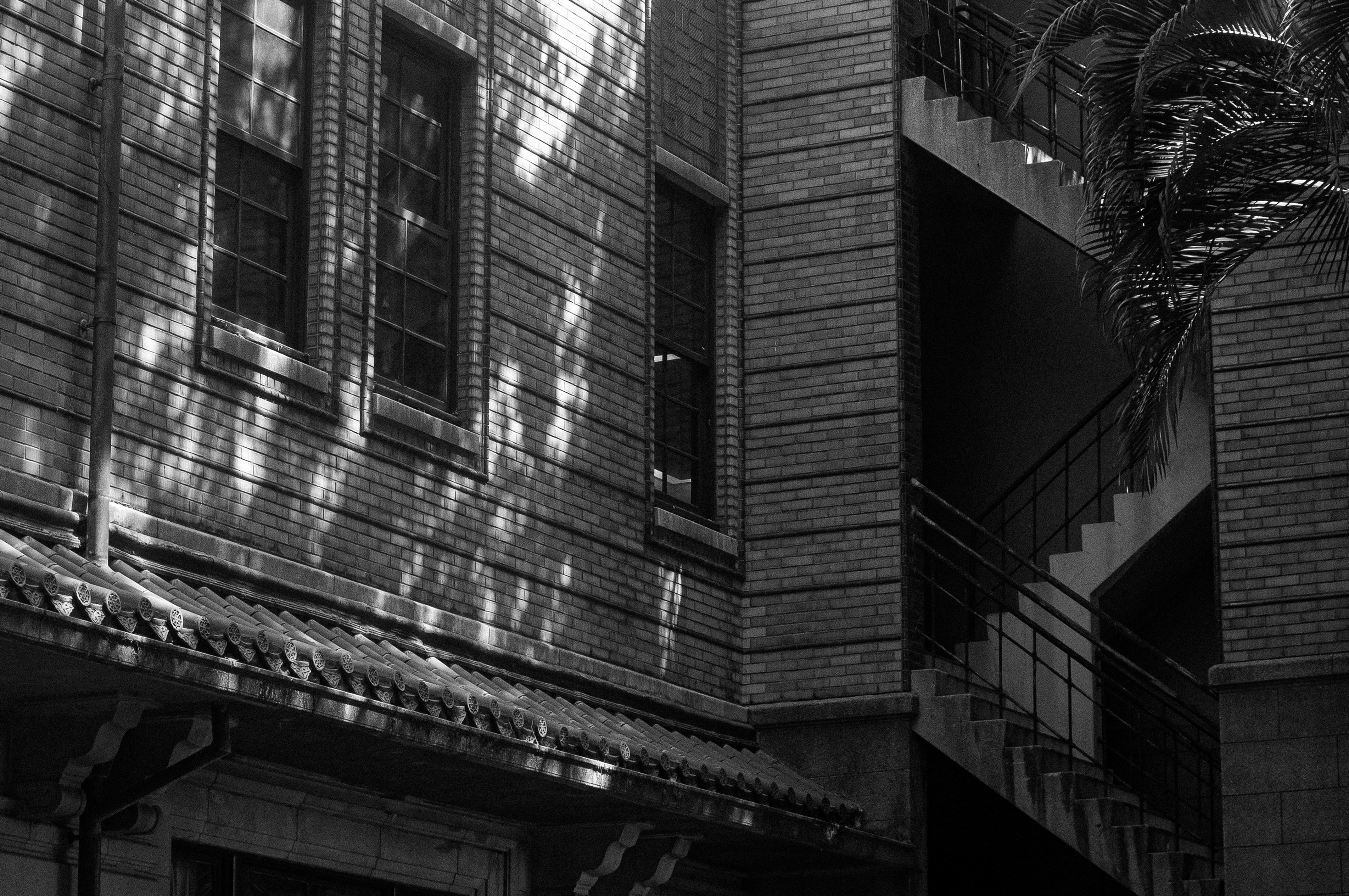 Photo by wooooooooood