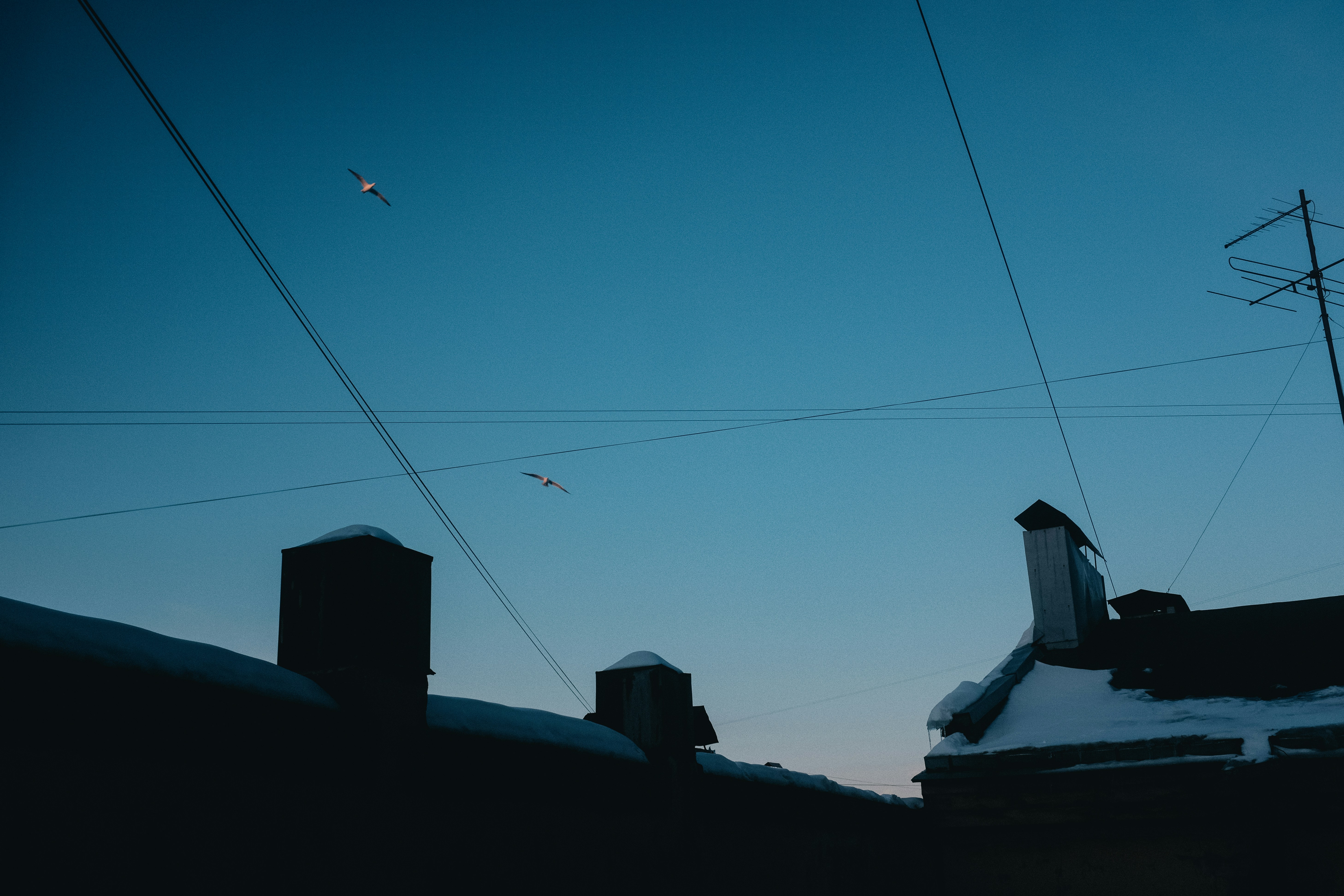 Photo by anastasia2208