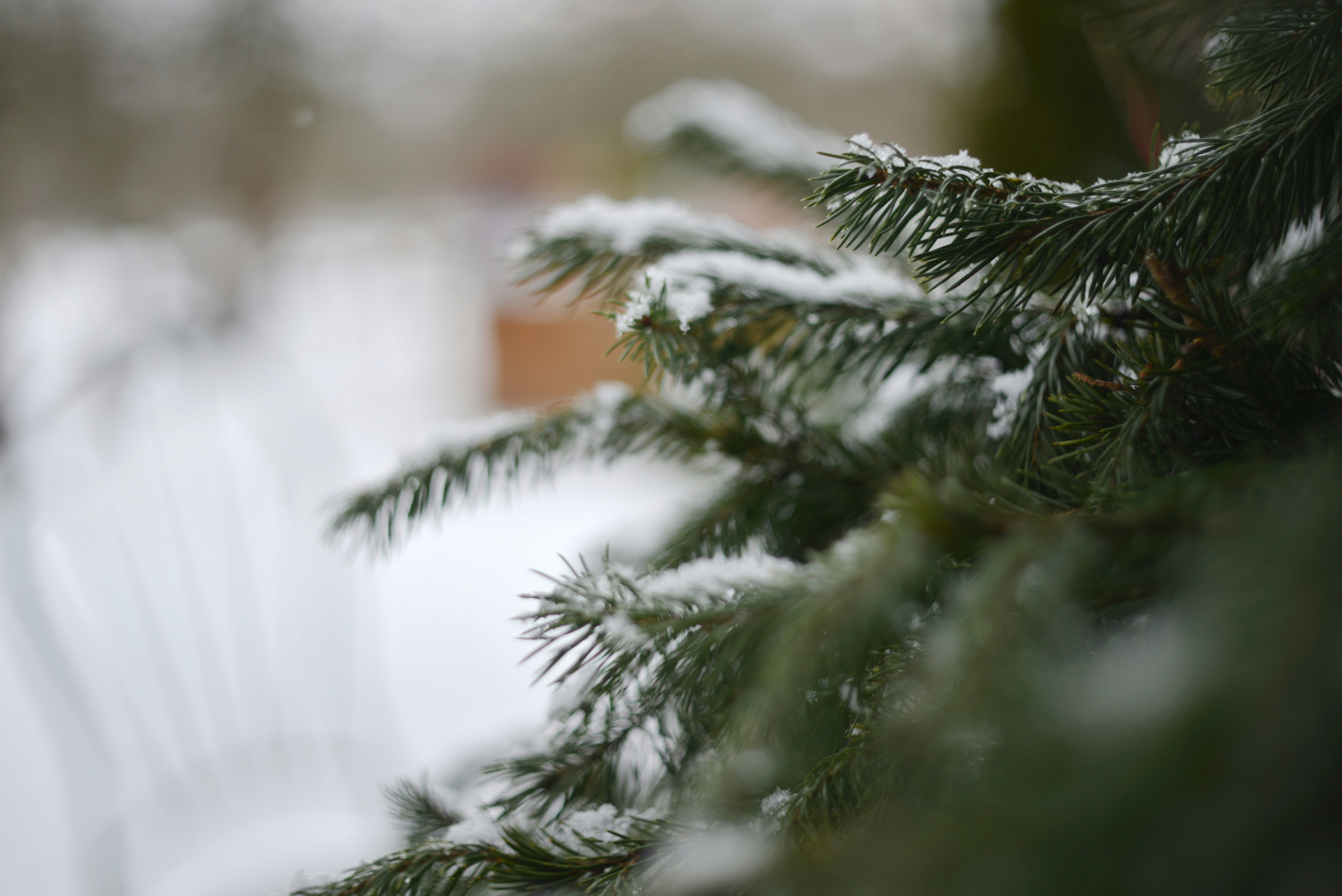 Photo by cherstve_pechivo