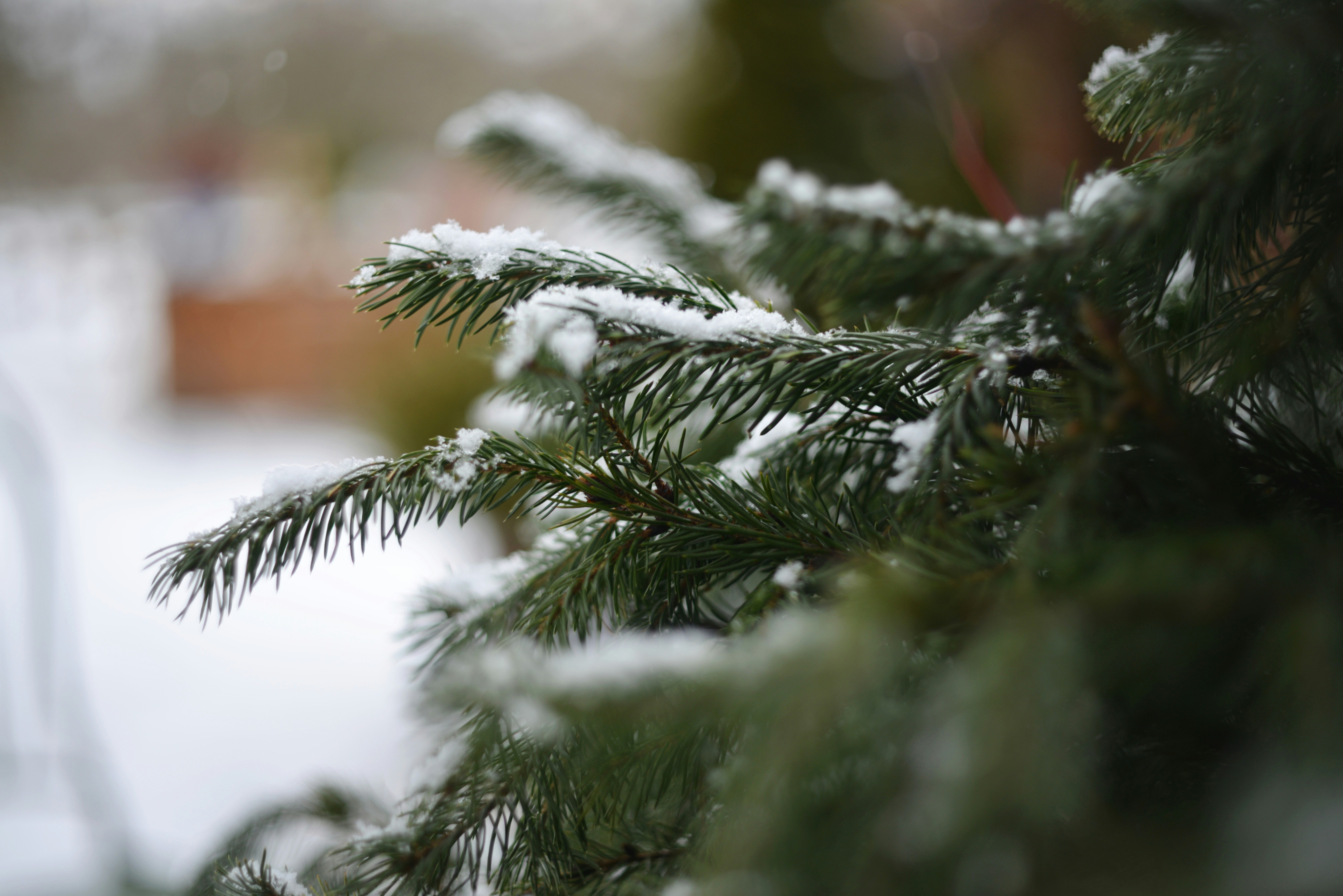 Photo by cherstve_pechivo