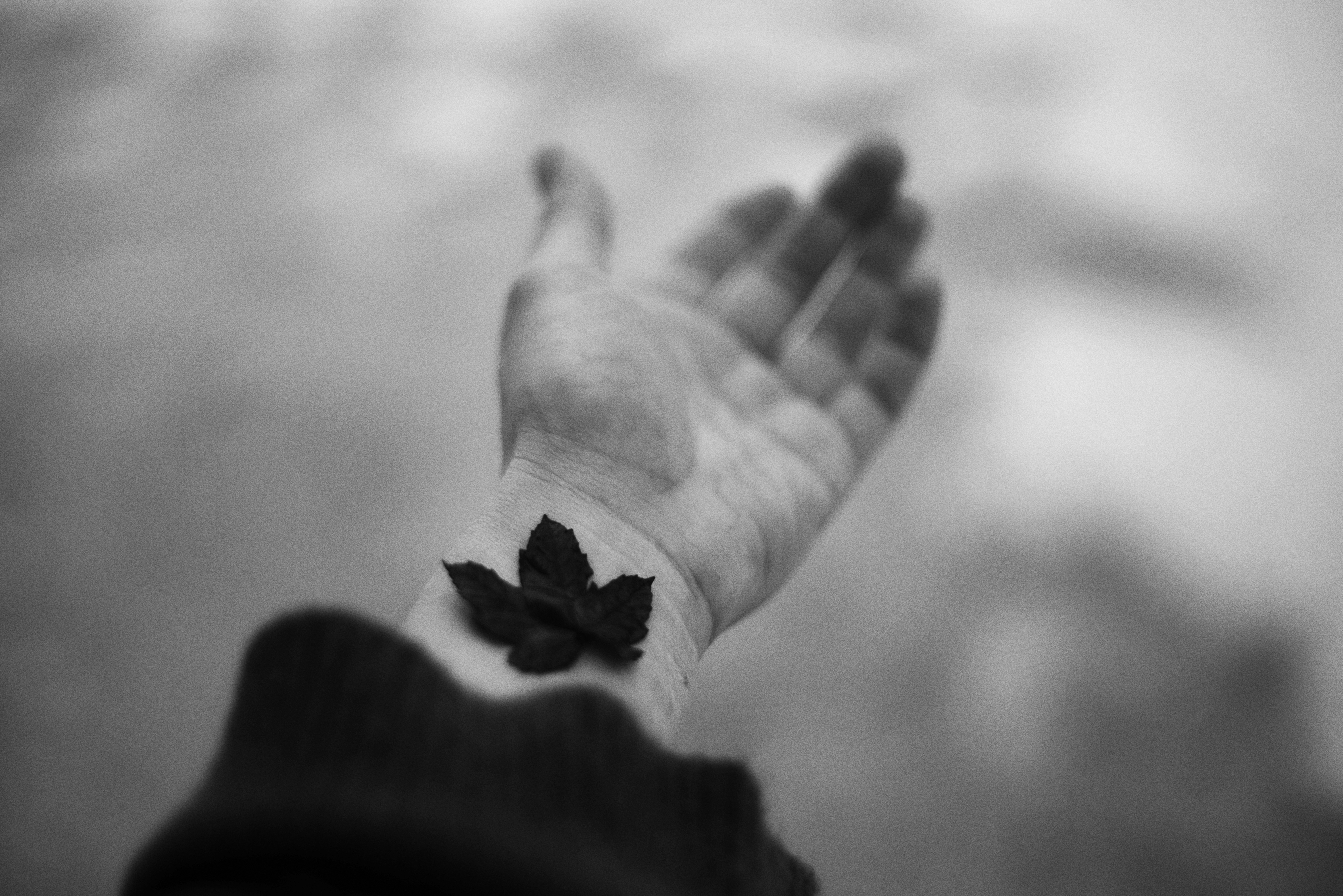 Photo by cherstve_pechivo