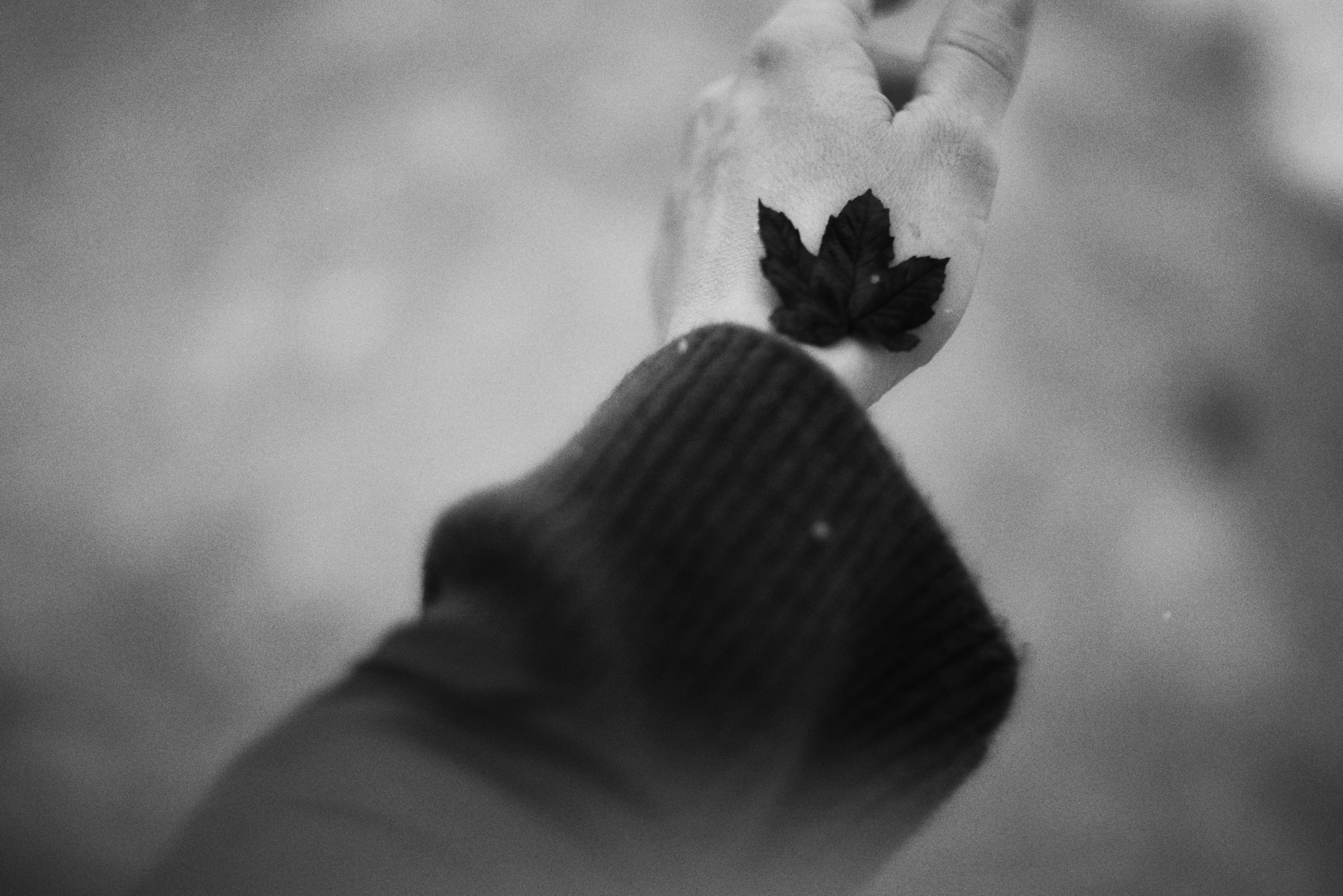 Photo by cherstve_pechivo