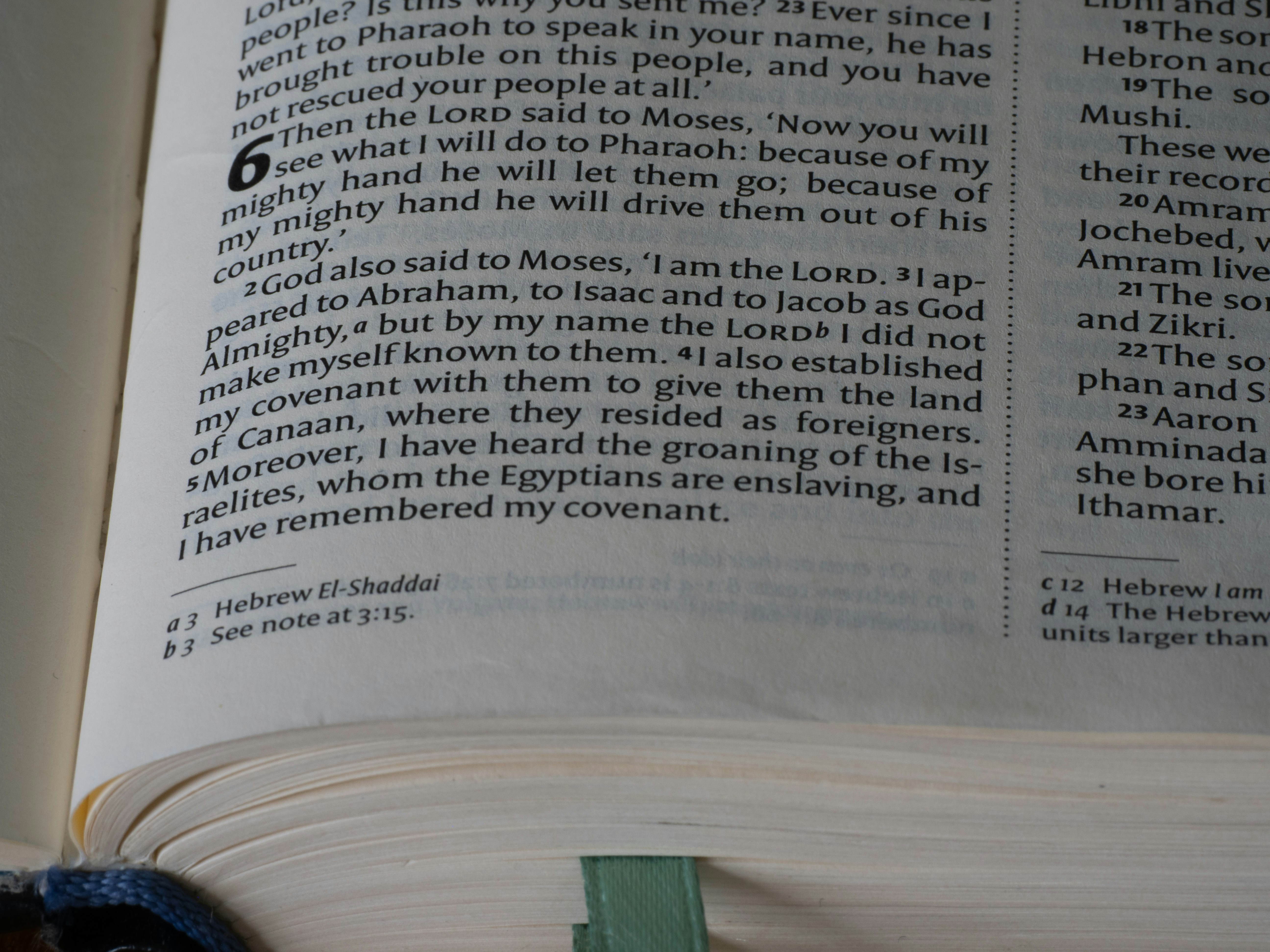 Close-up of open bible pages with text.