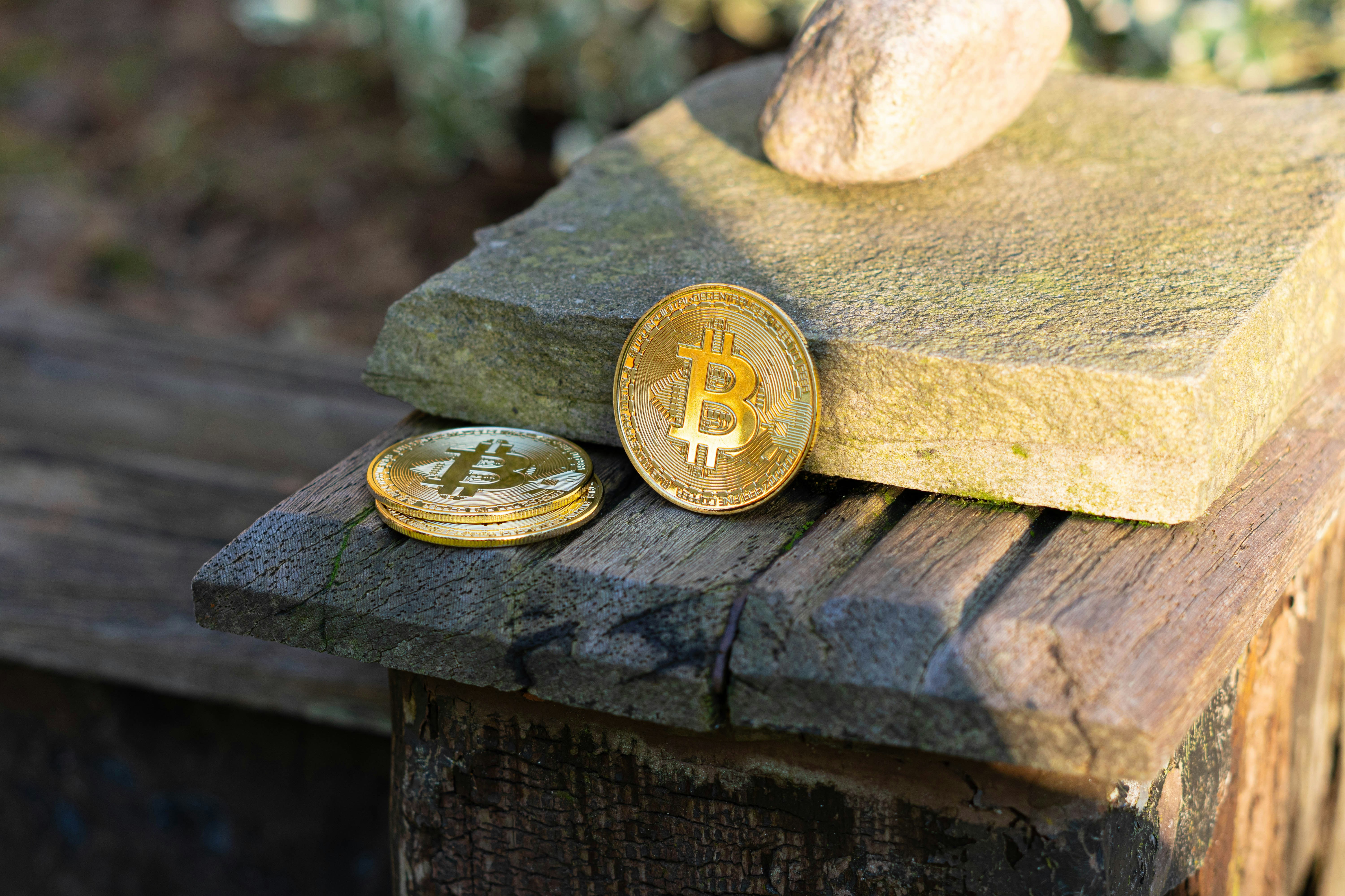 Two bitcoin coins resting on a wooden surface