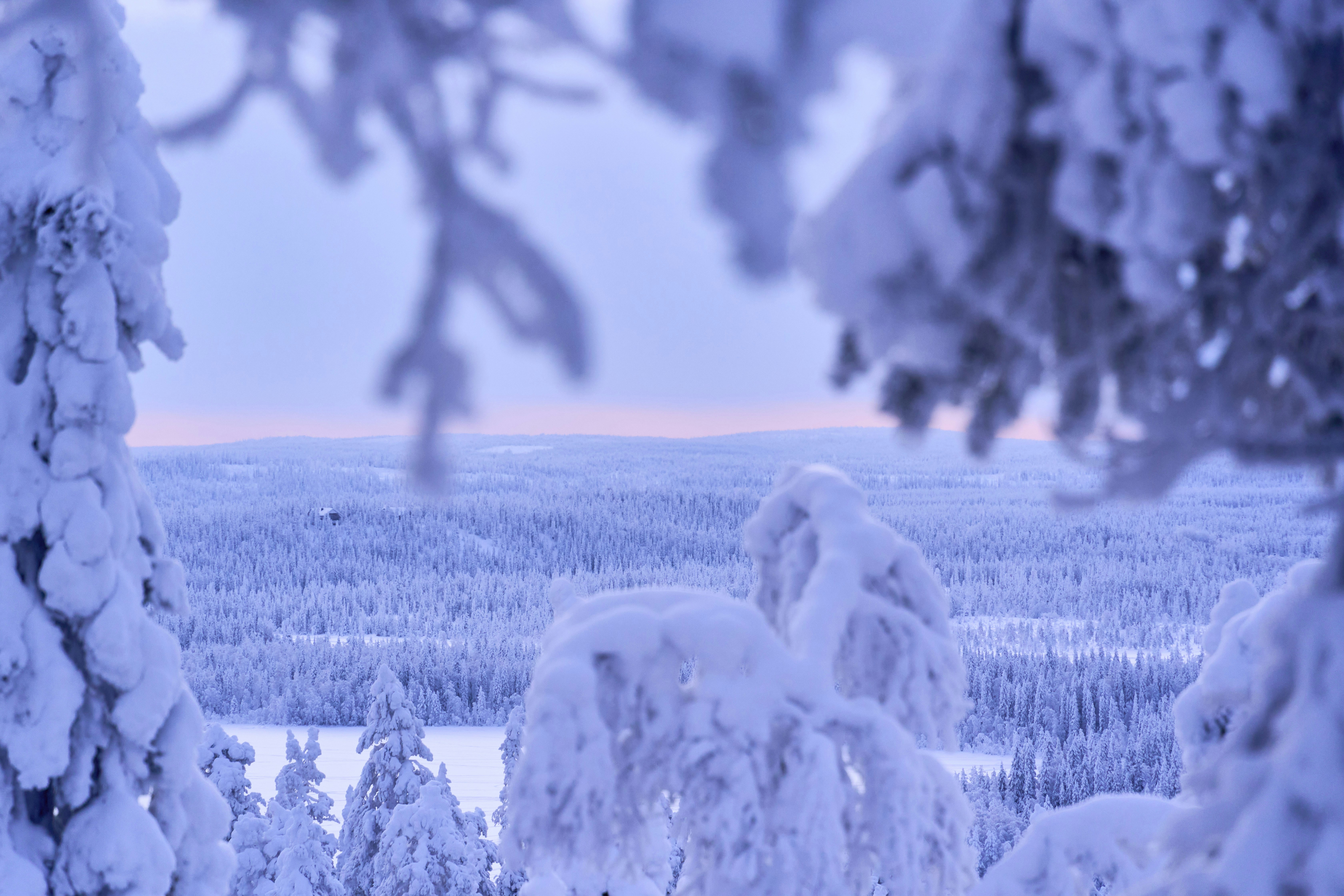 Photo by wolfgang_hasselmann