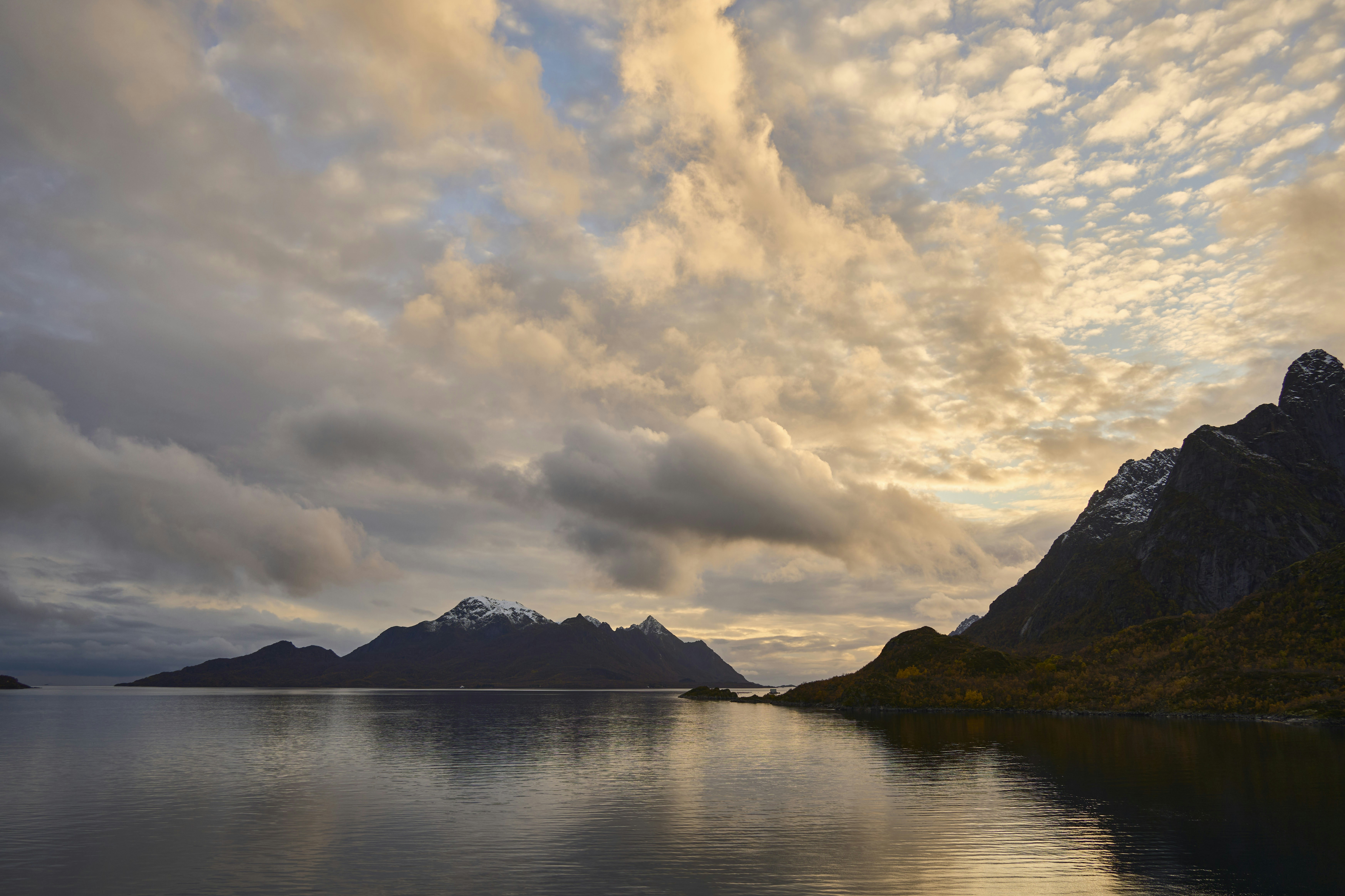 Photo by wolfgang_hasselmann