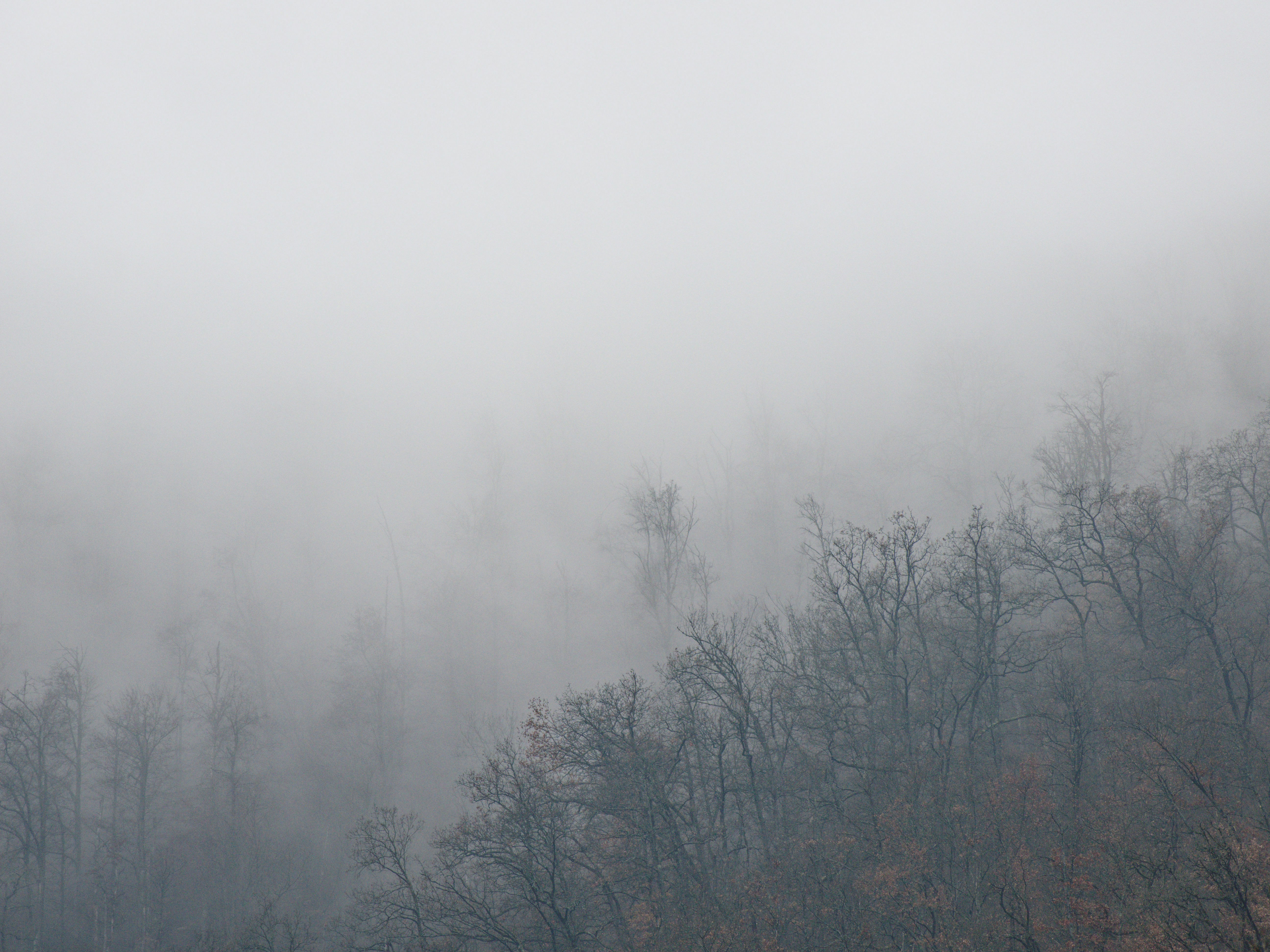 Photo by illes_cristi