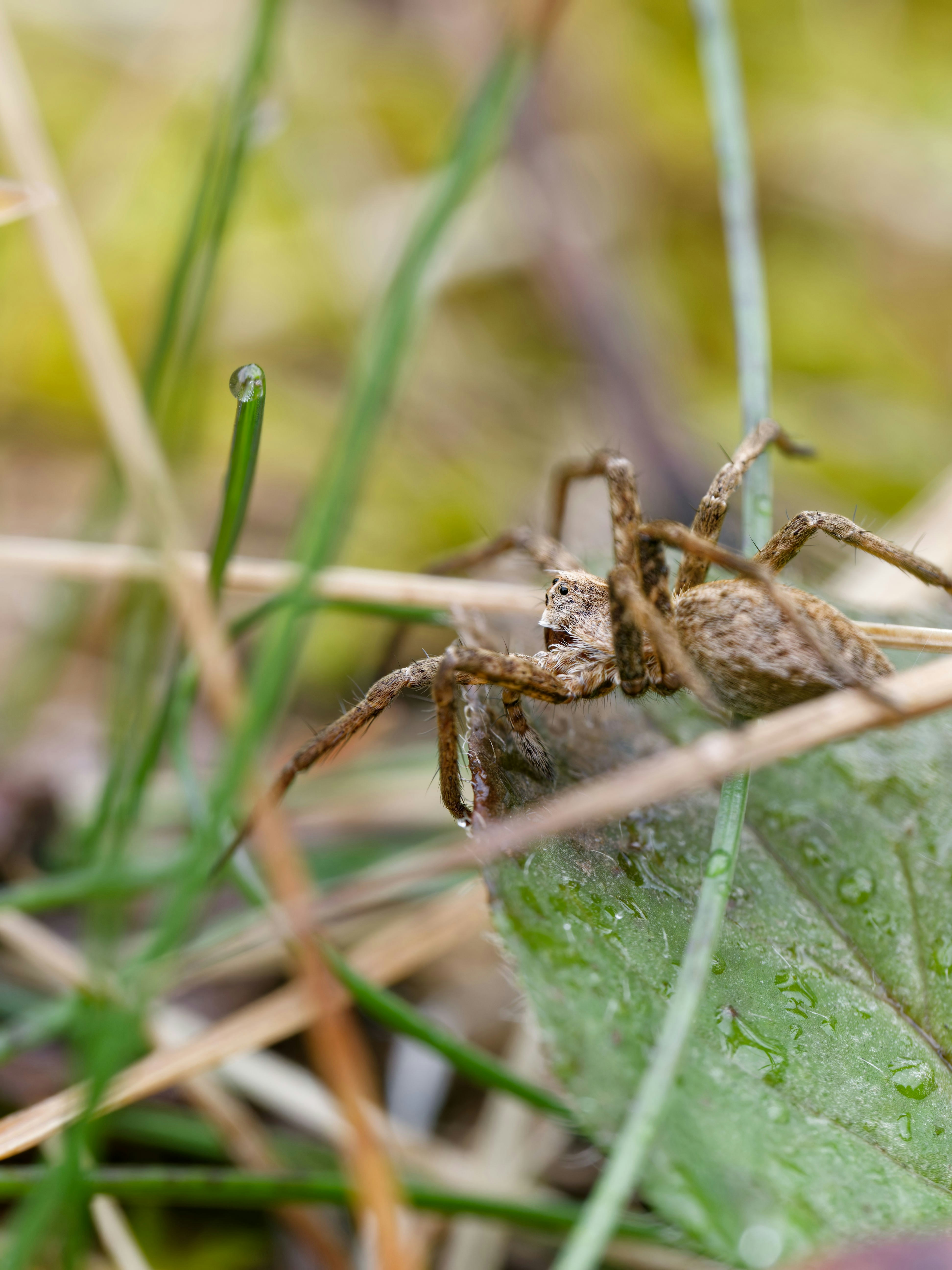 Photo by illes_cristi