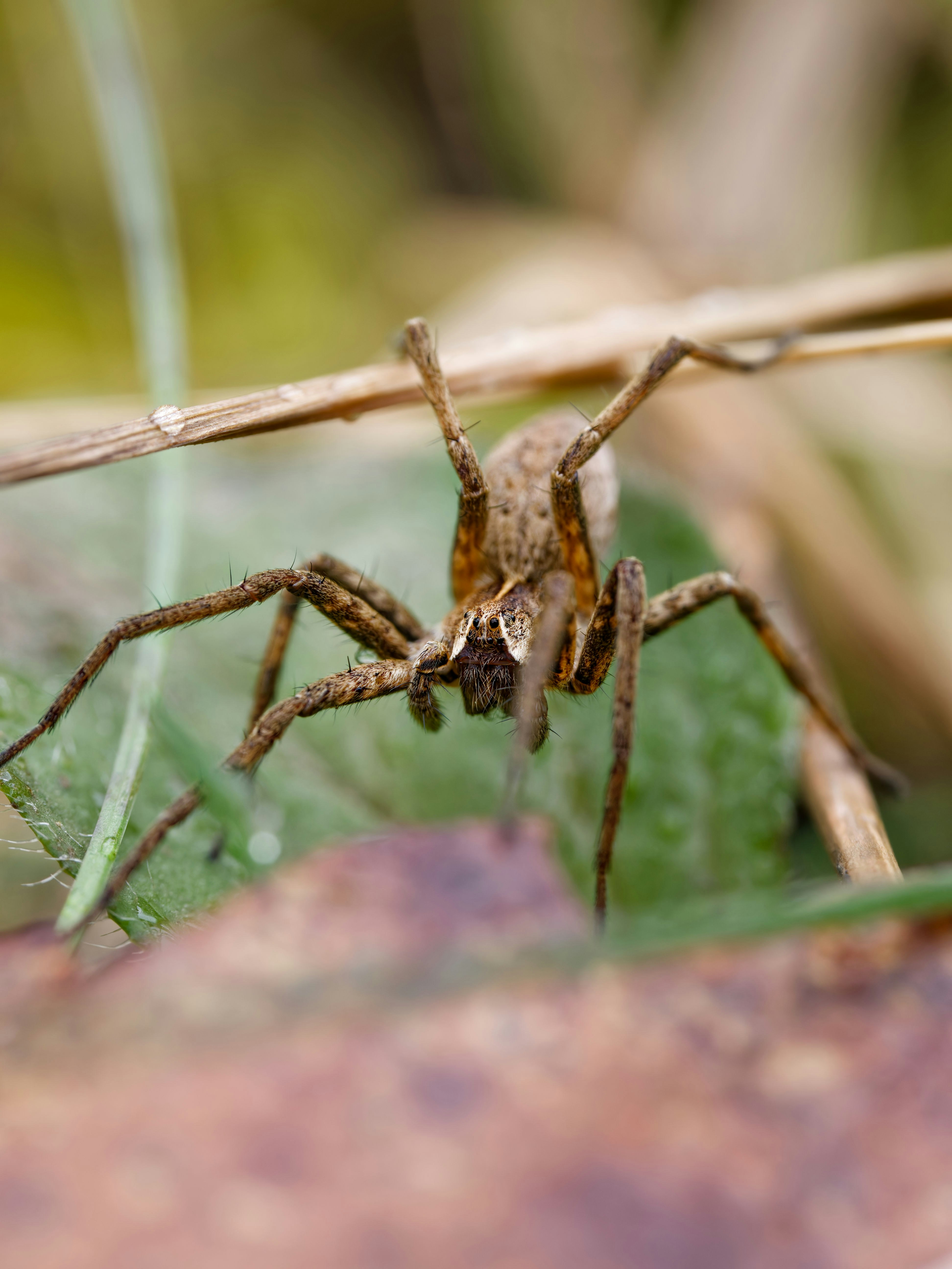 Photo by illes_cristi