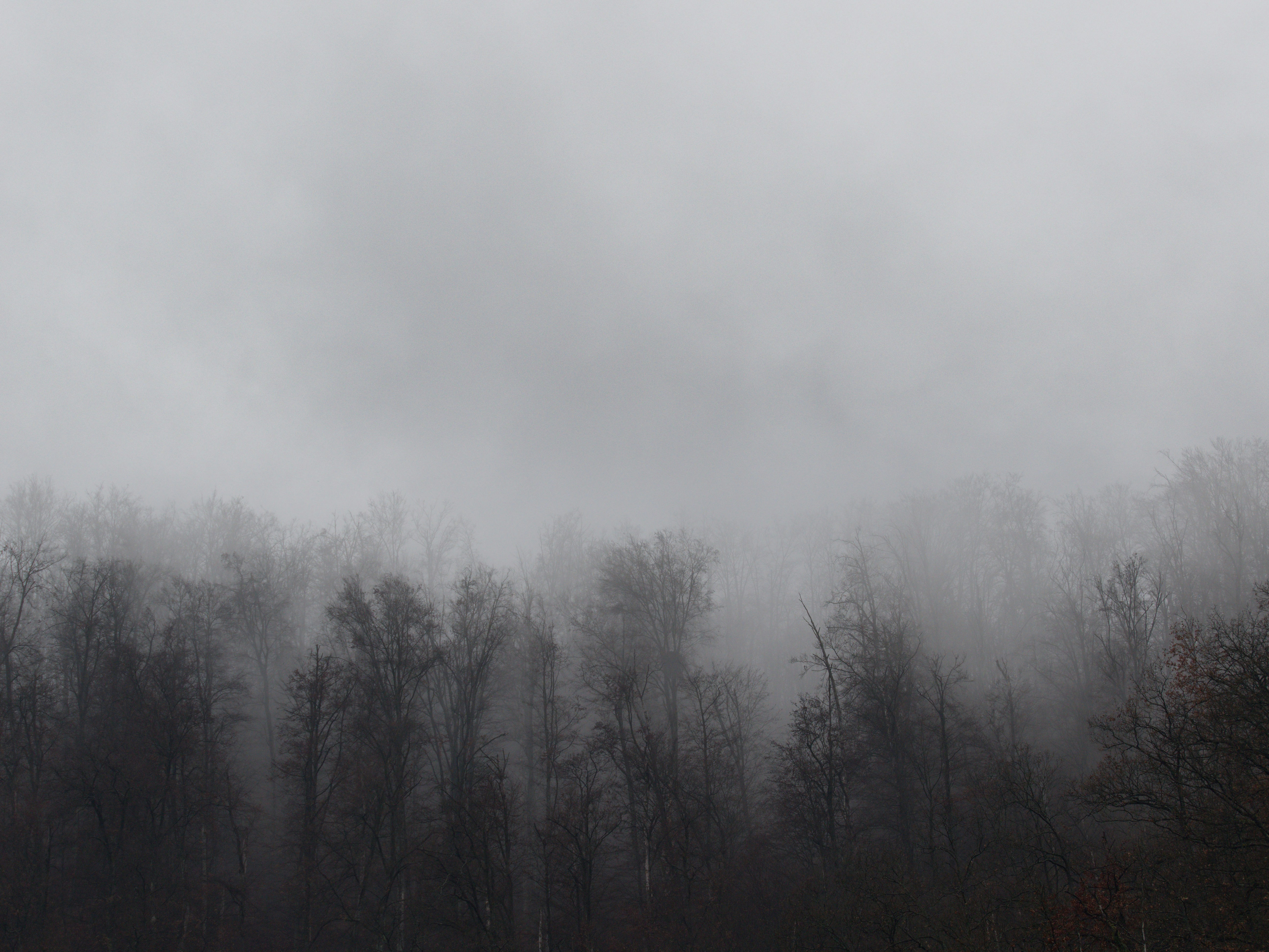 Photo by illes_cristi