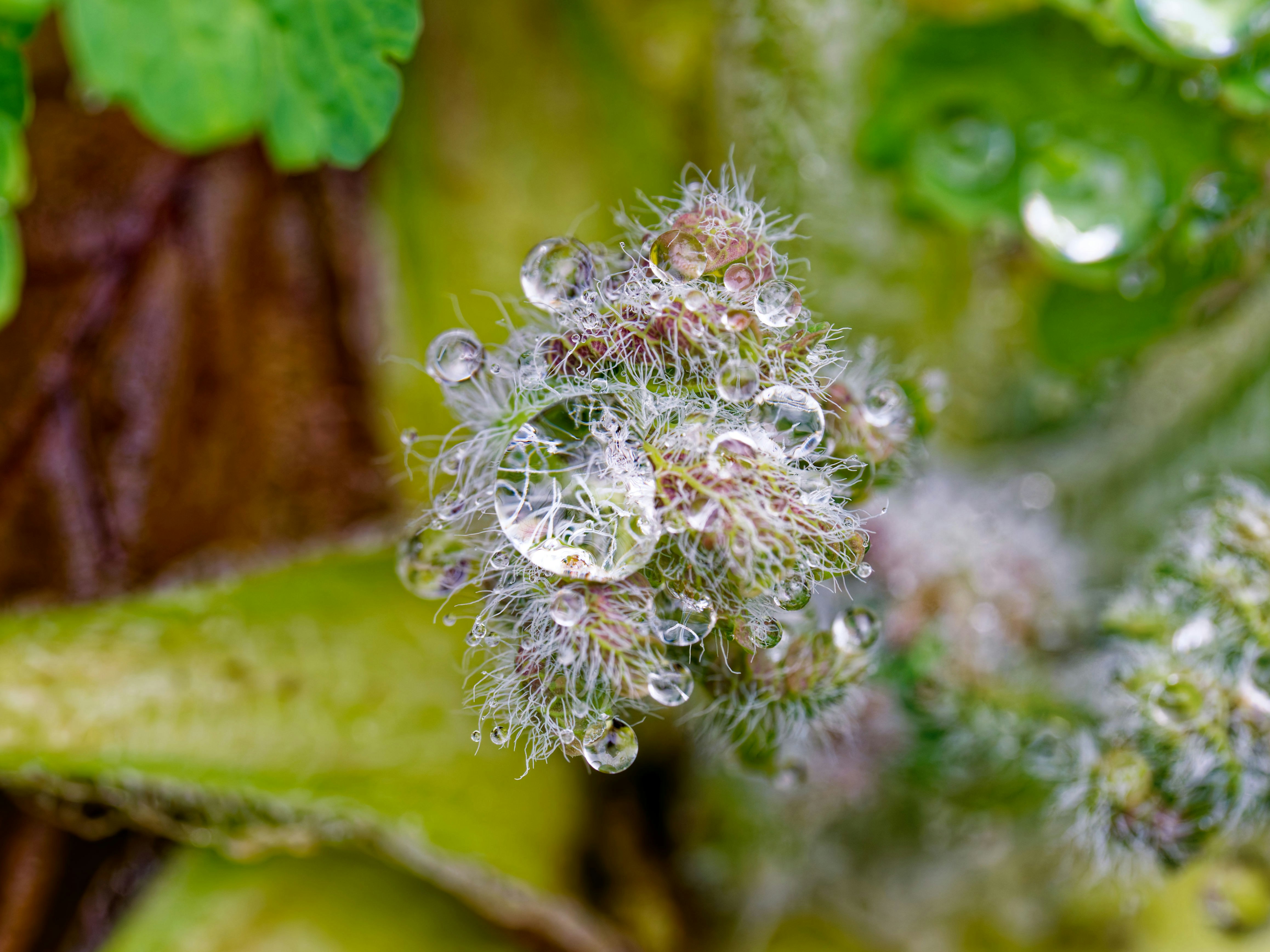 Photo by illes_cristi