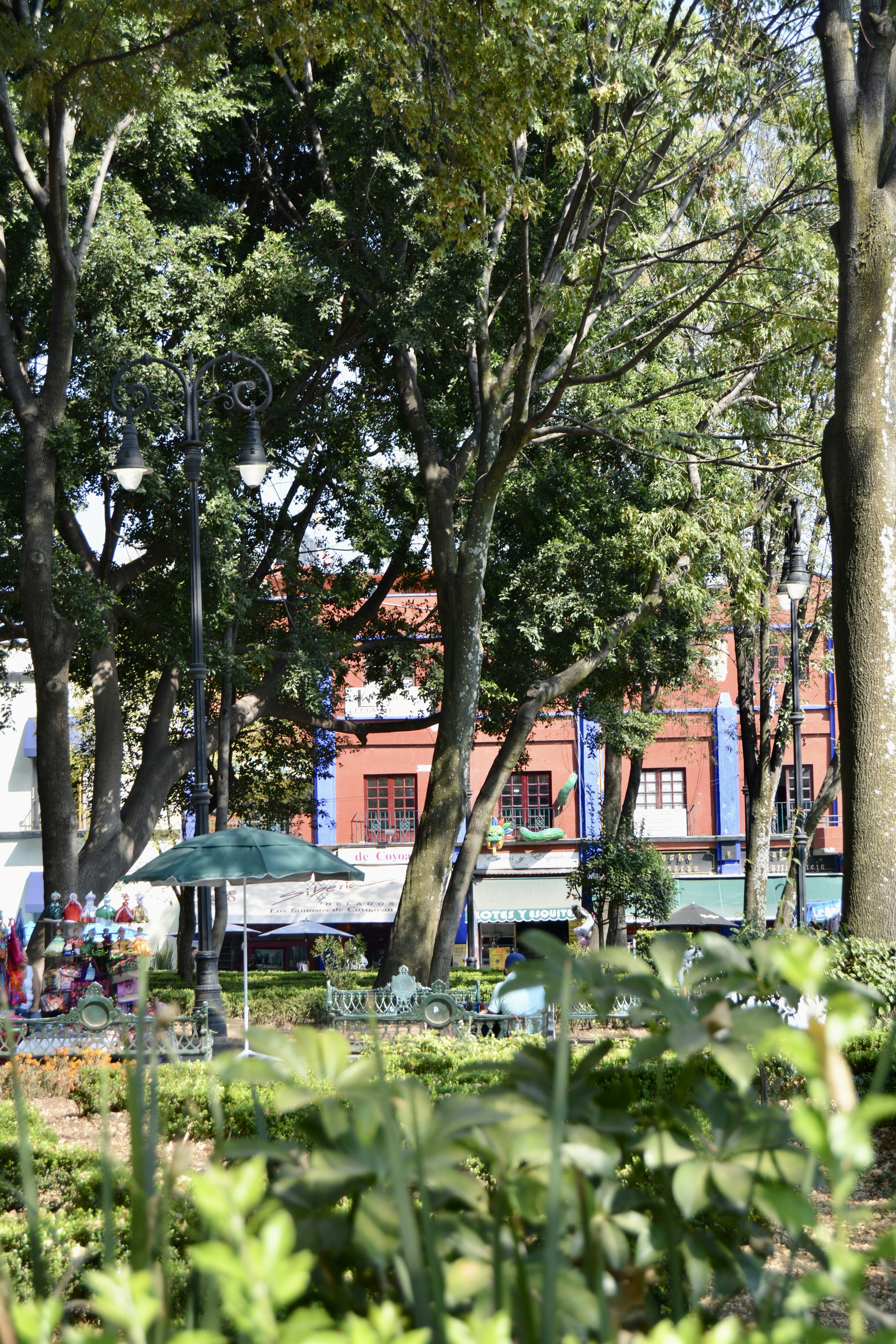 Photo by solmedoariza