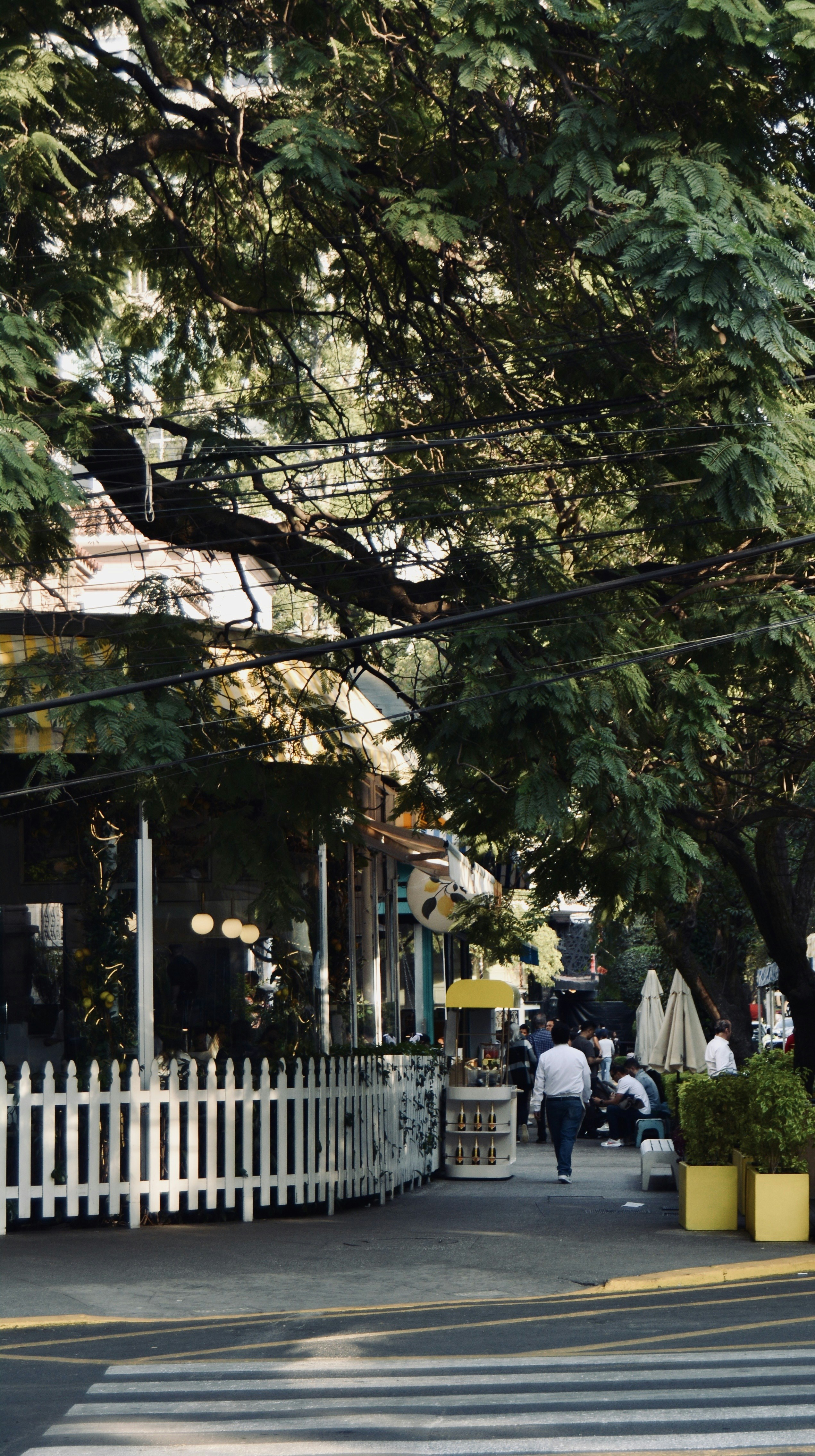 Photo by solmedoariza