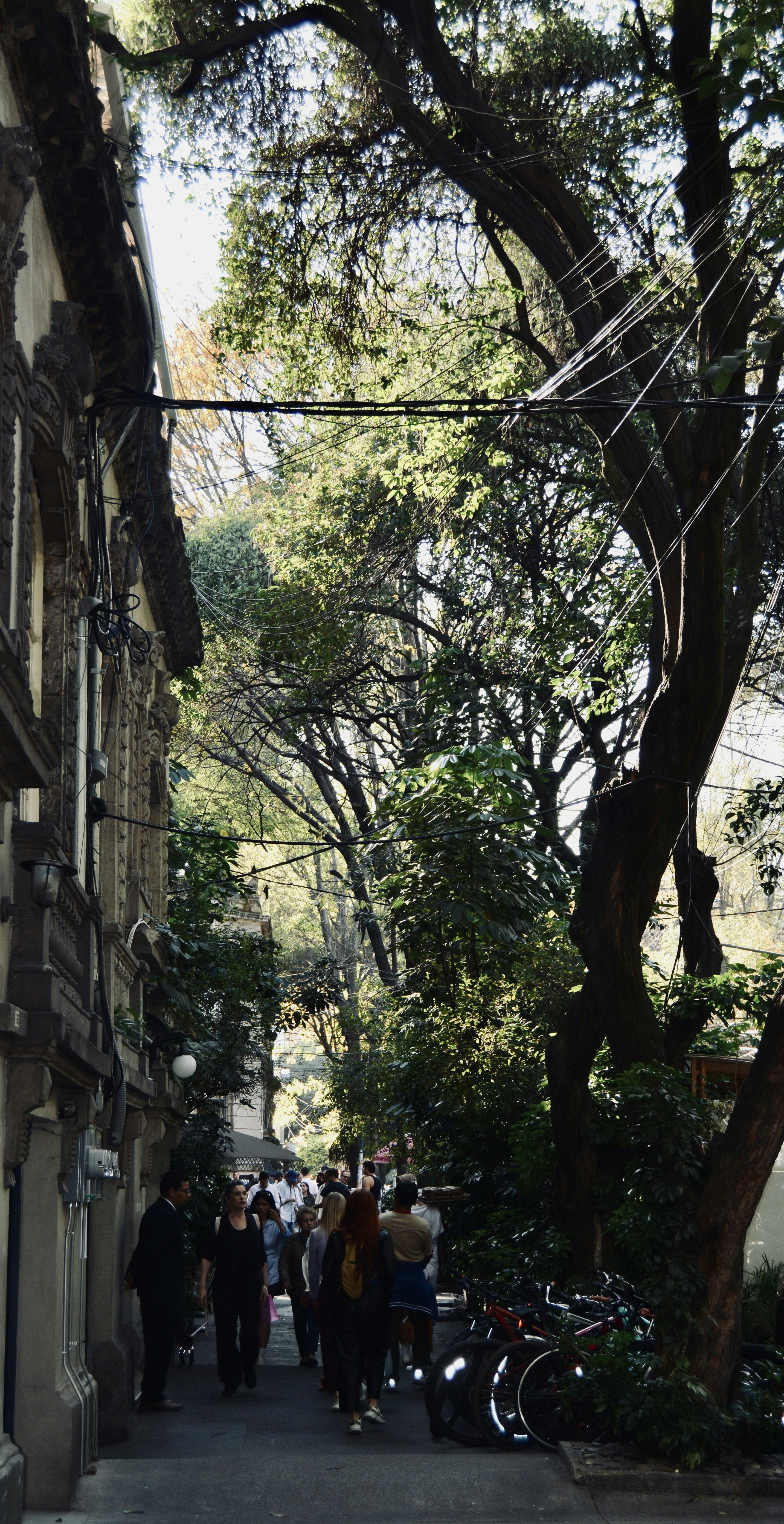 Photo by solmedoariza